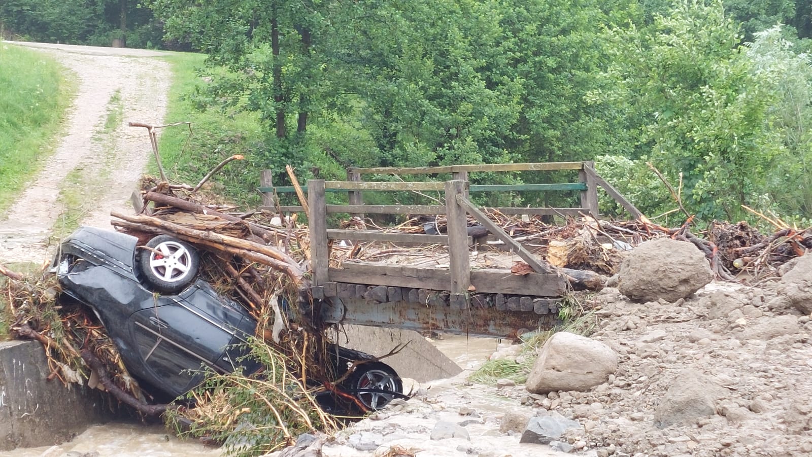 Vedran Bosnjak/Anadolija