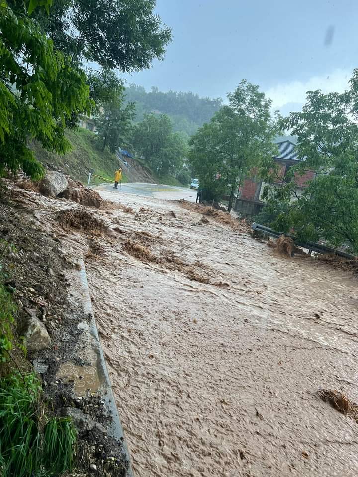 Ustupljena fotografija
