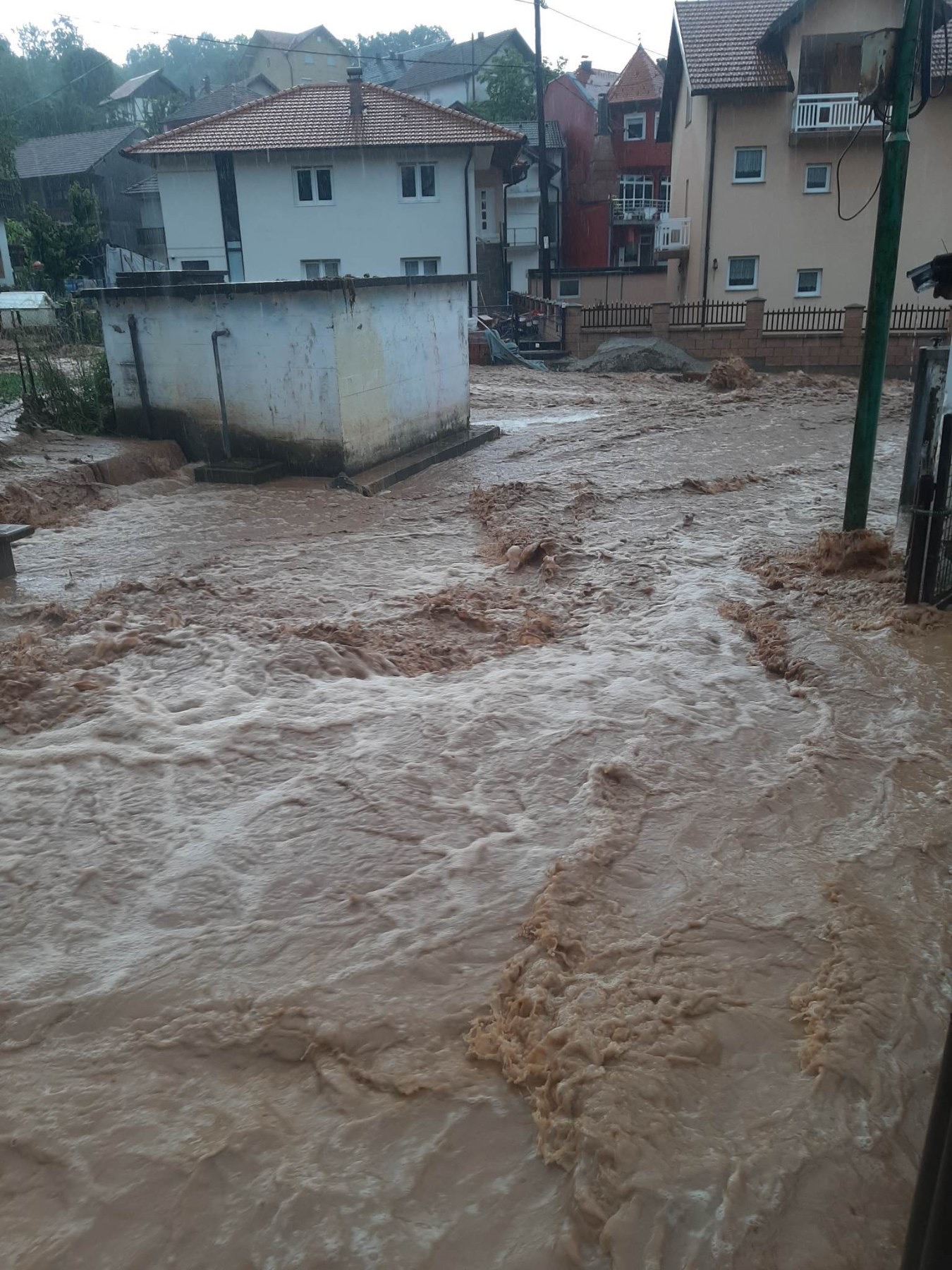 Ustupljena fotografija