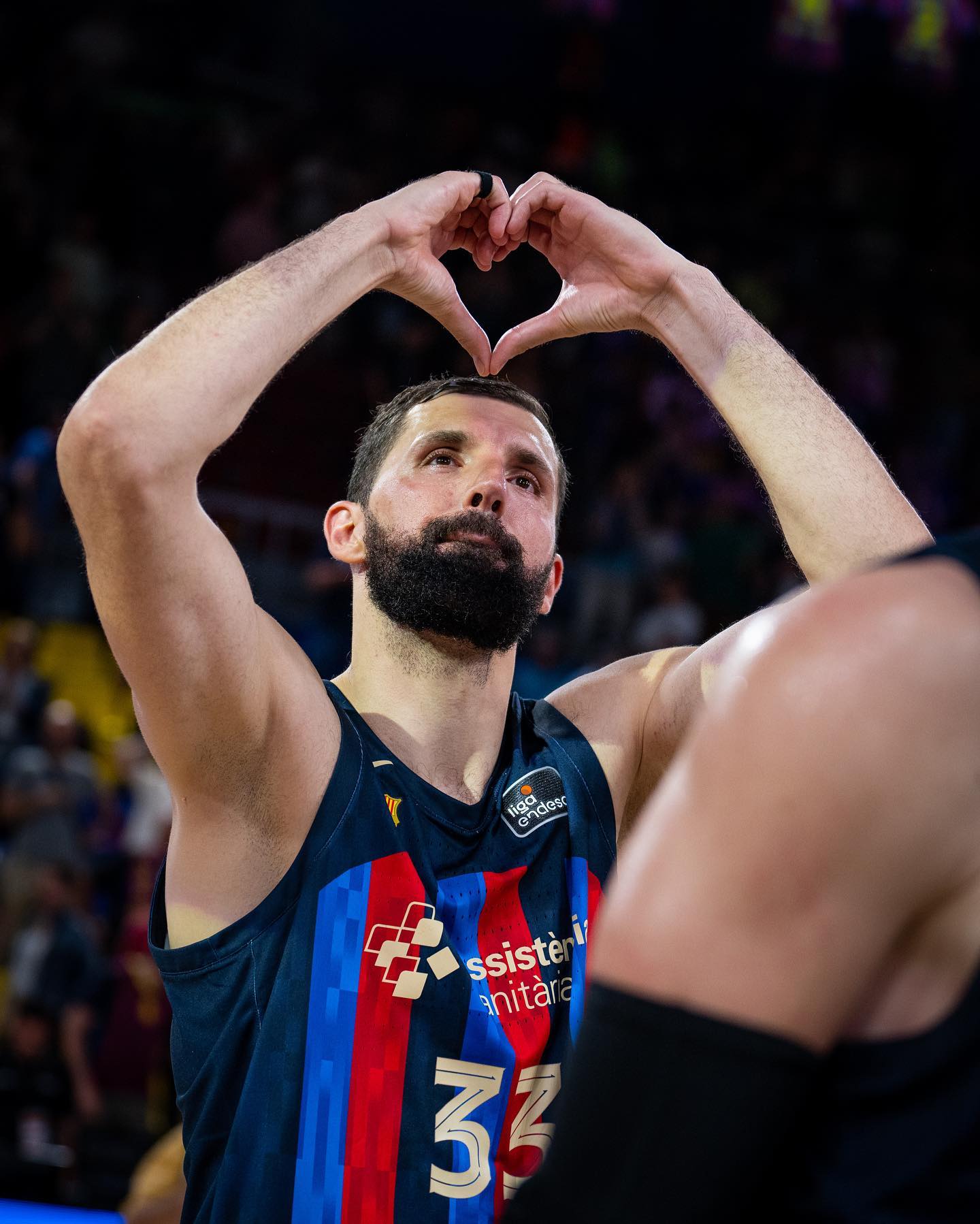 nikola mirotic