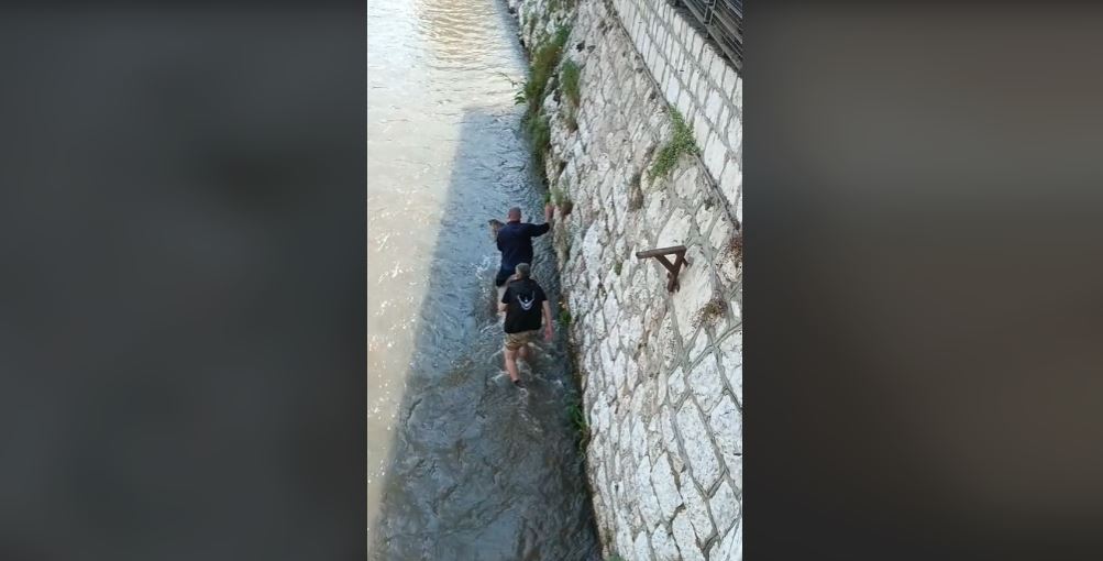 spasavanje mace iz milajcke