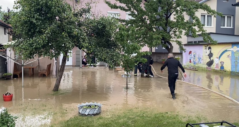 Aleksandar Nićiforović/Anadolija