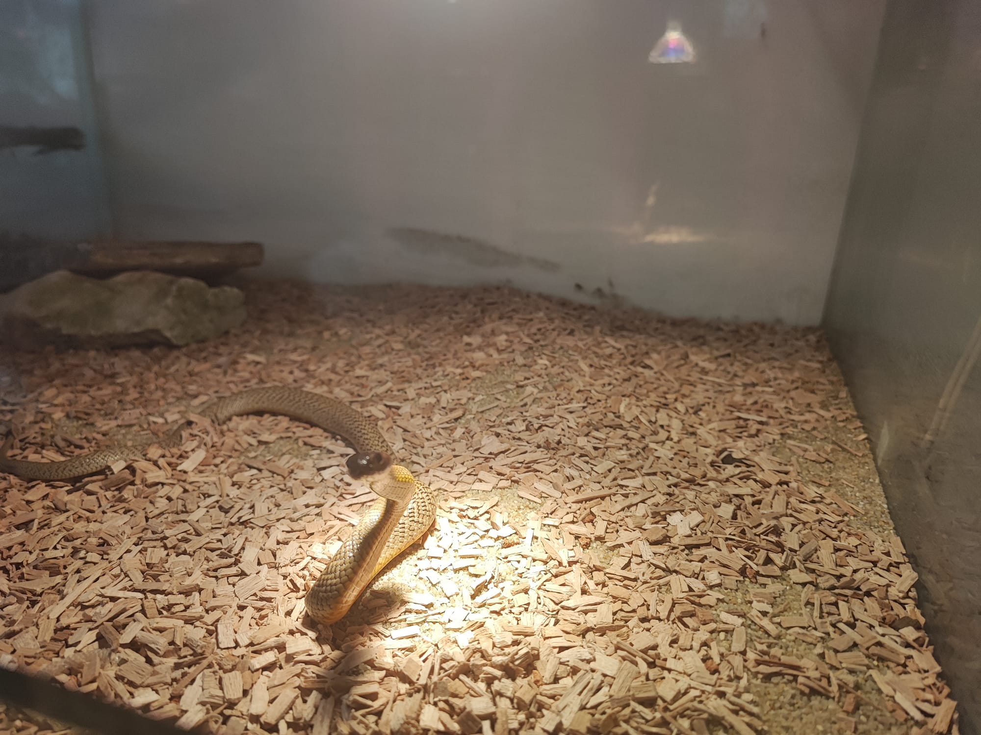 1686822367-WhatsApp-Image-2023-06-15-at-11.44.00