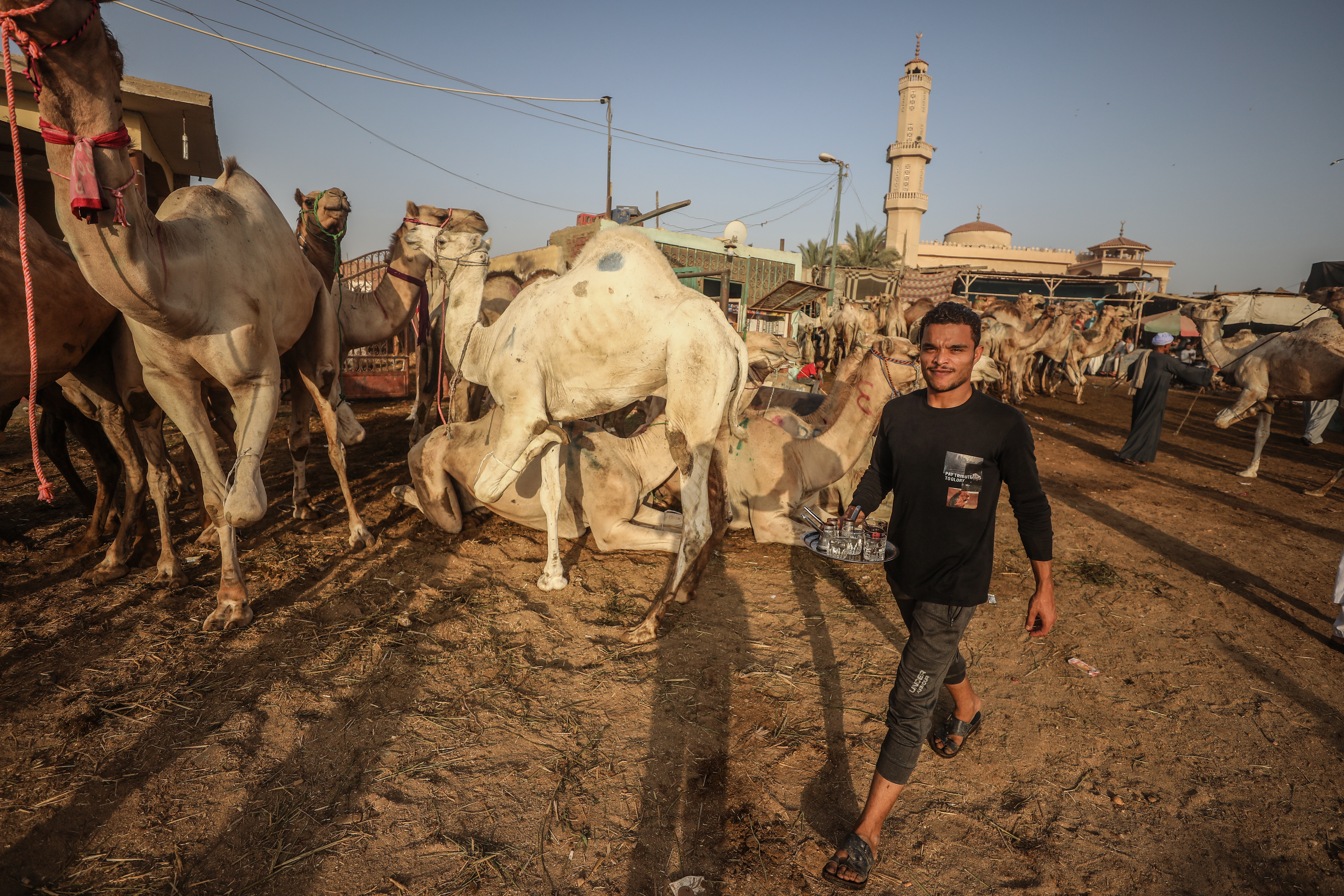 Anadolija/Mohamed Elshahed