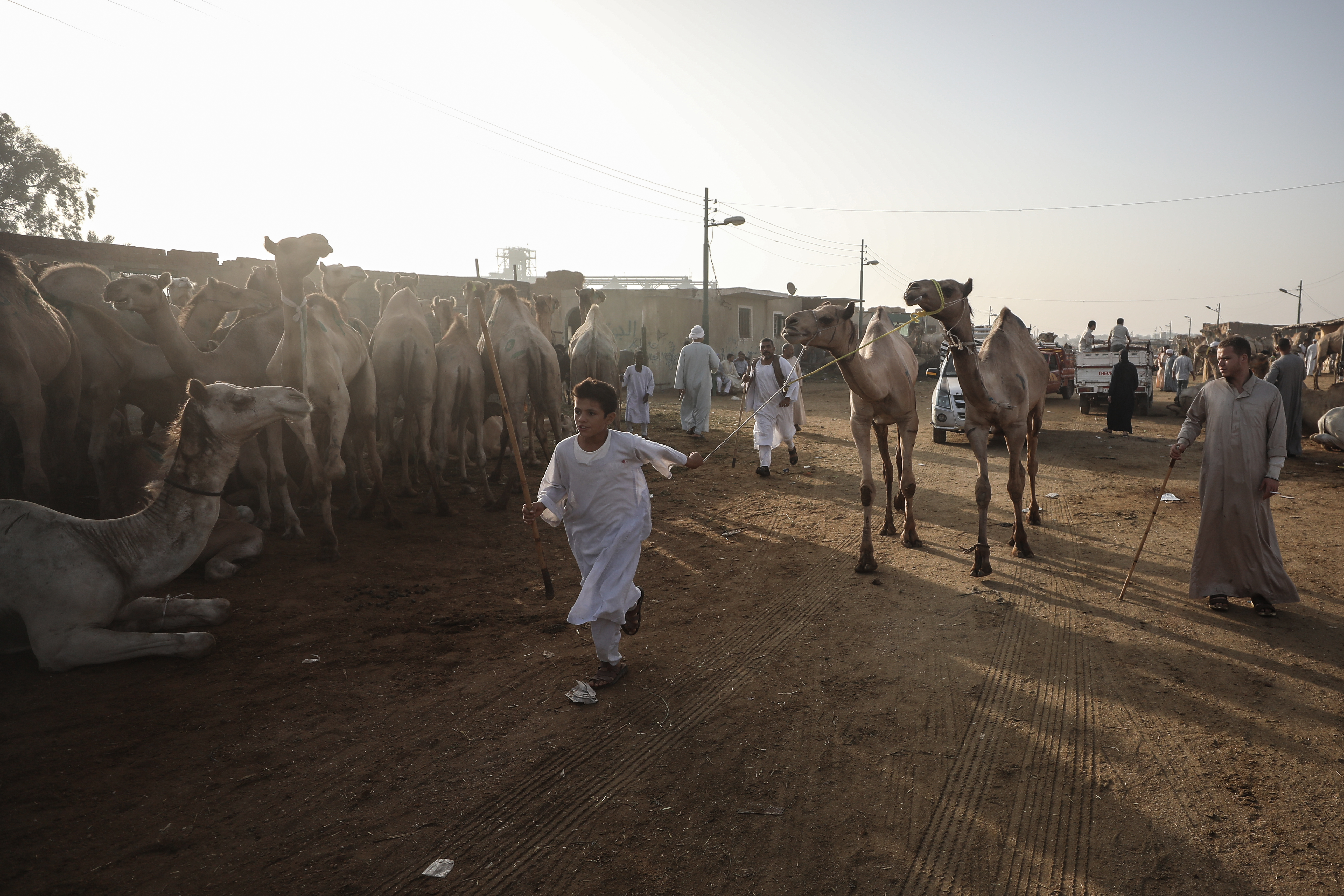 Anadolija/Mohamed Elshahed