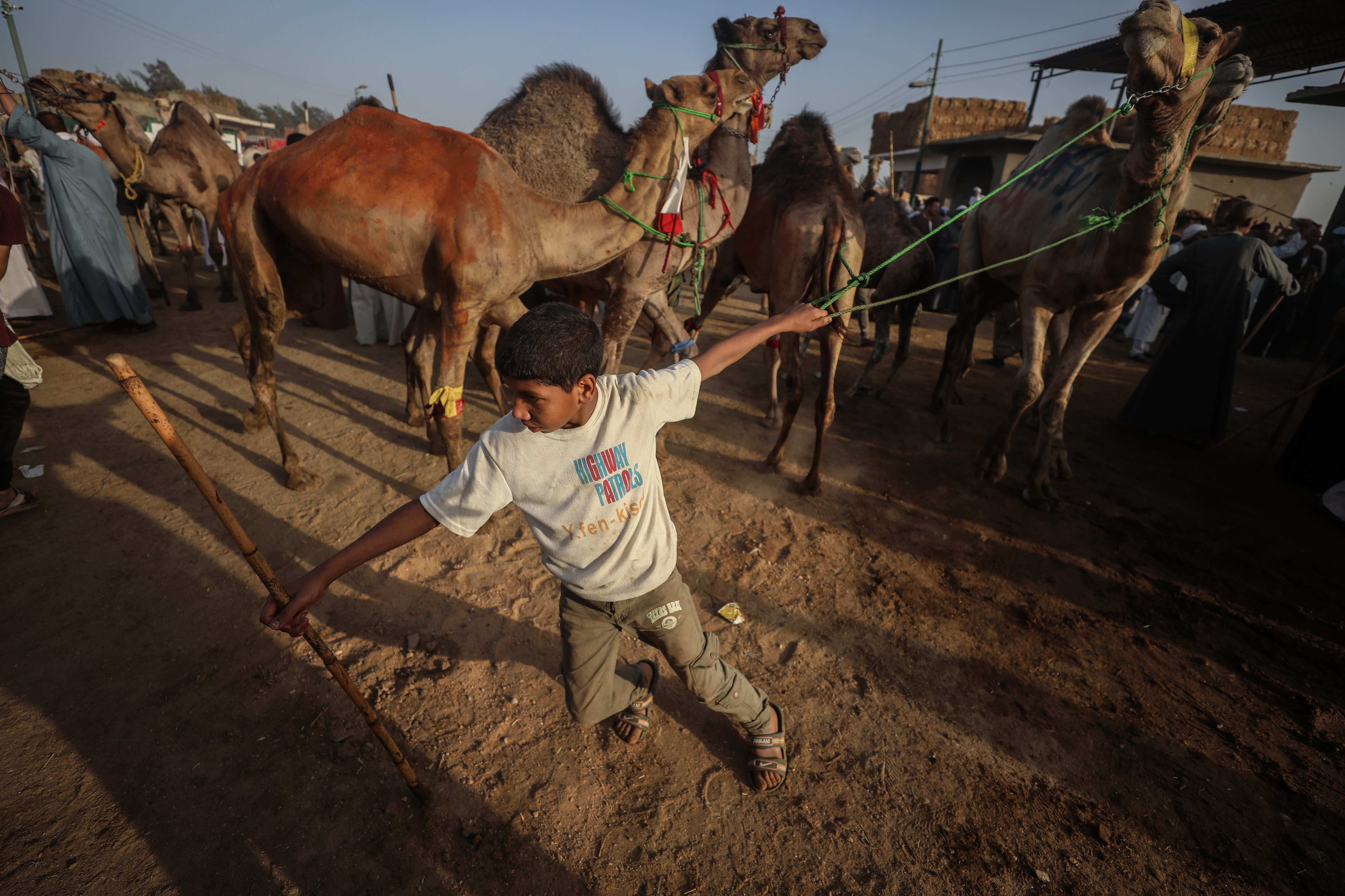 Anadolija/Mohamed Elshahed