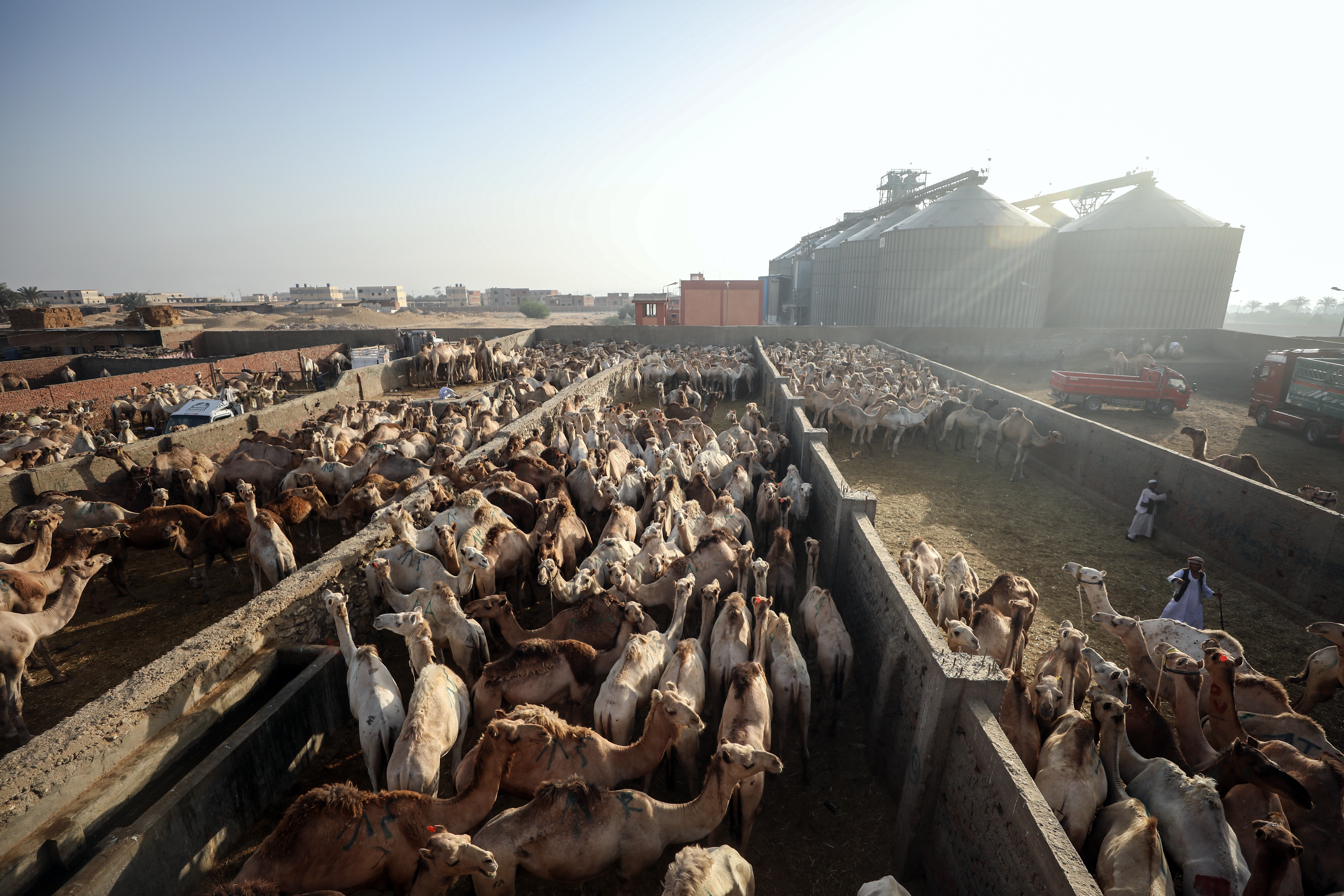 Anadolija/Mohamed Elshahed