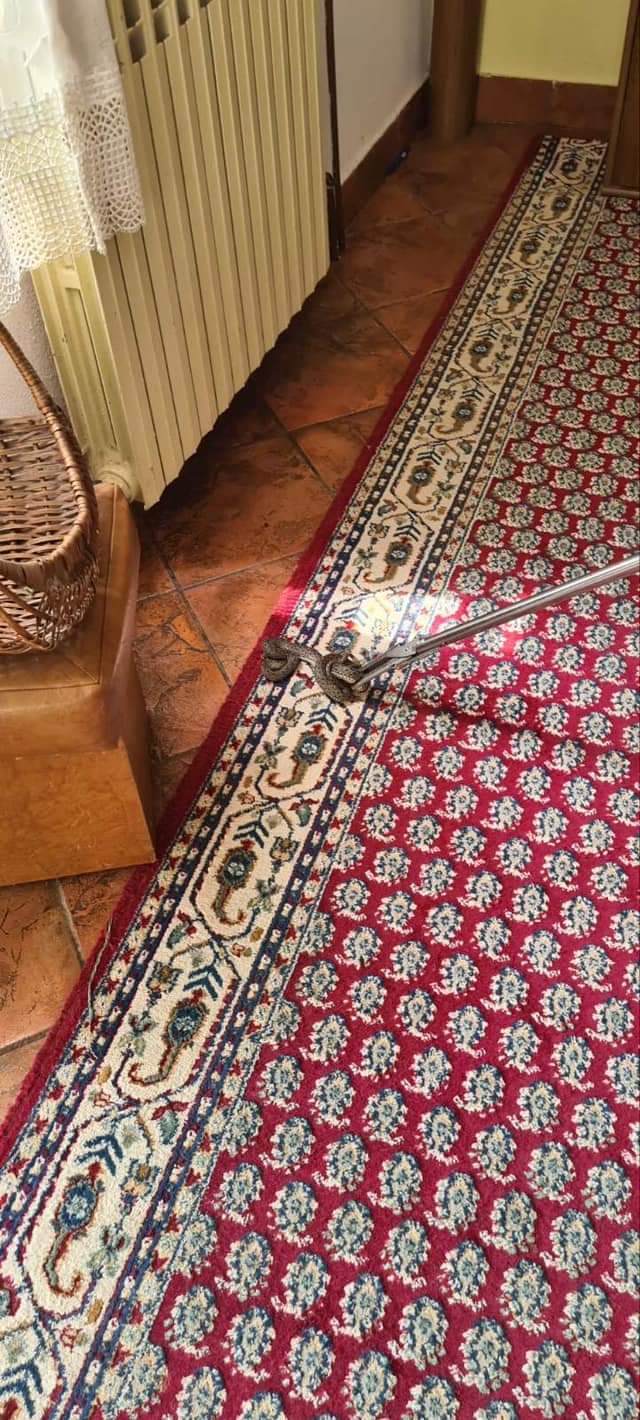 FB_IMG_1687433033574