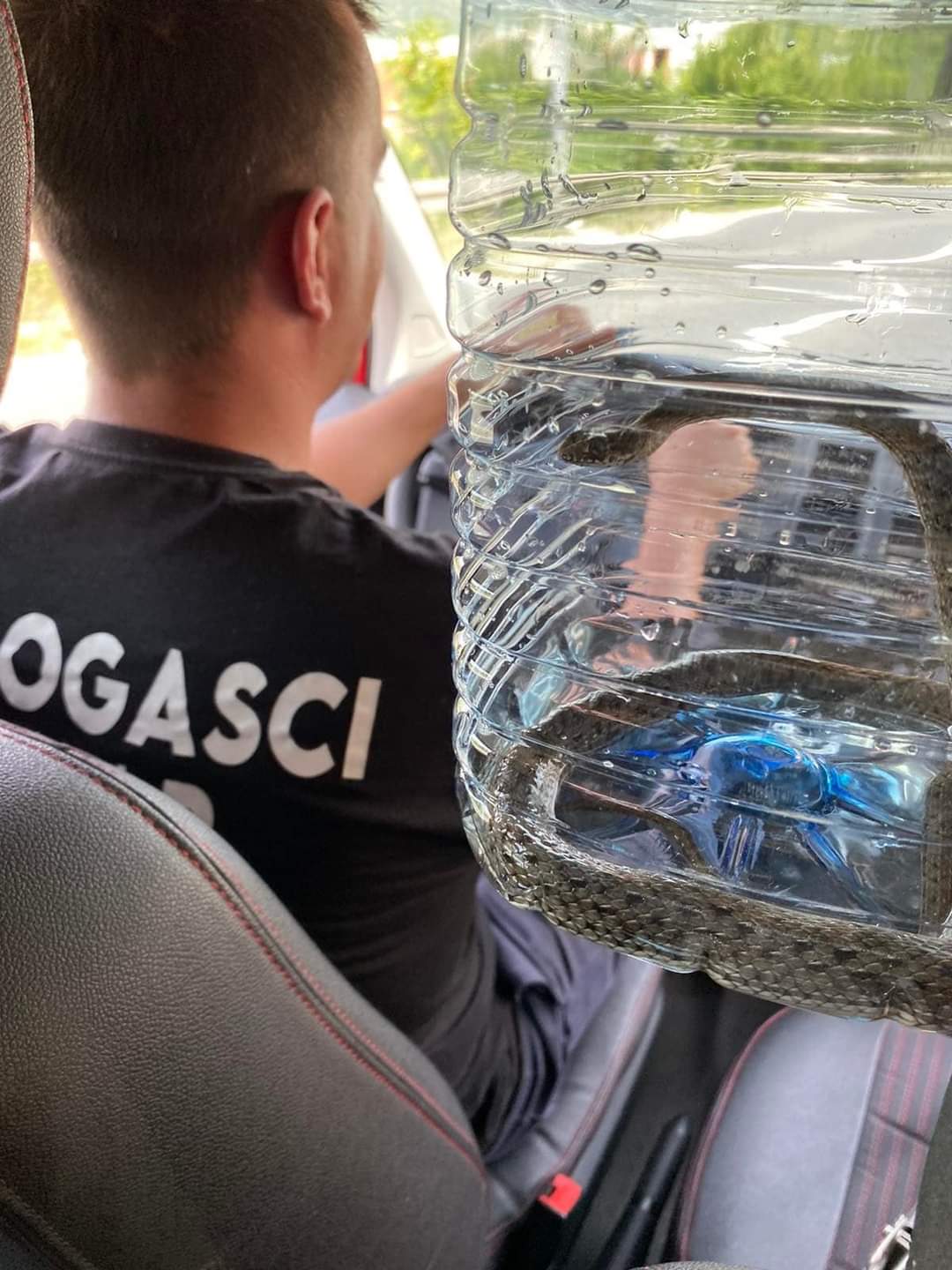 FB_IMG_1687433024357