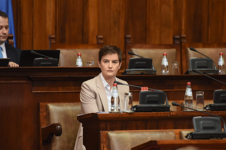ANA BRNABIĆ