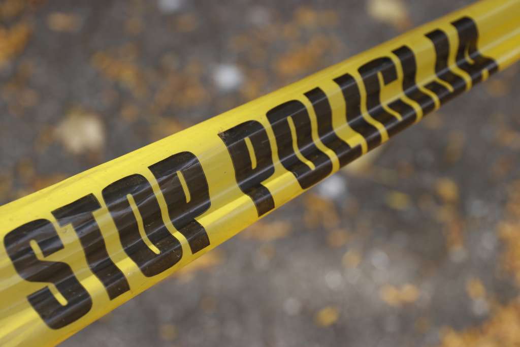 l_e986ef5e9d325678a607c1c74b36ae5d