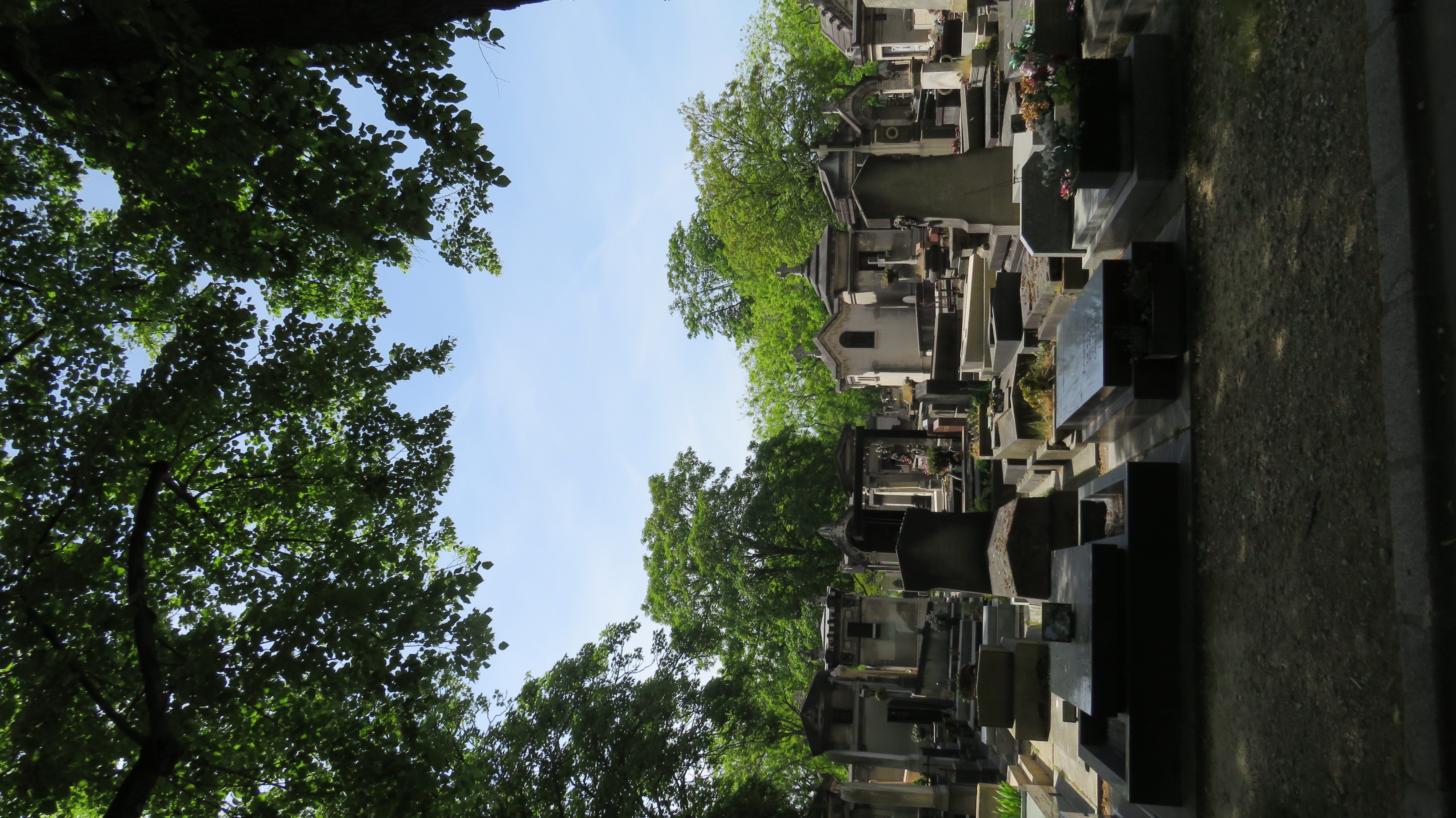 20220514211944_IMG_0489