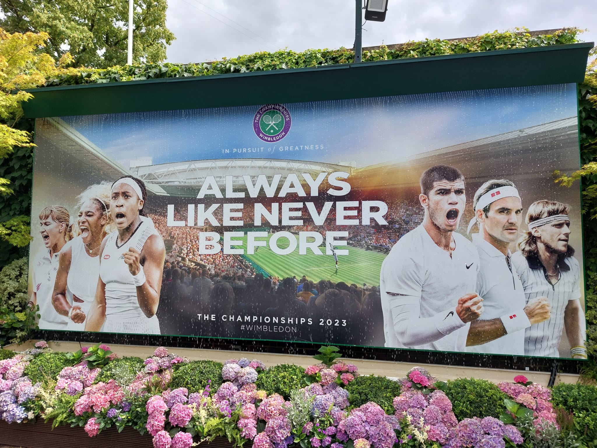 Novak Poster