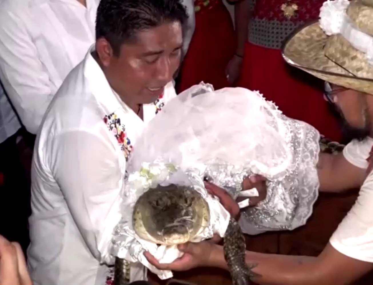 356181176_236520525836239_3832183096992792605_n