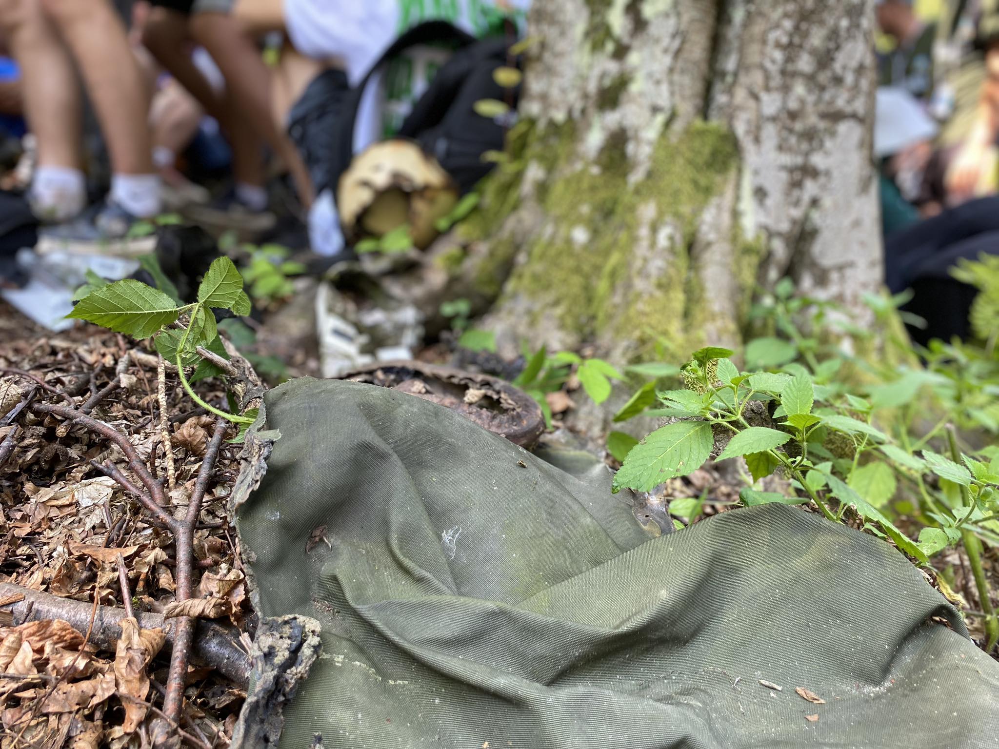 359823469_187124544111418_5189131770522209255_n