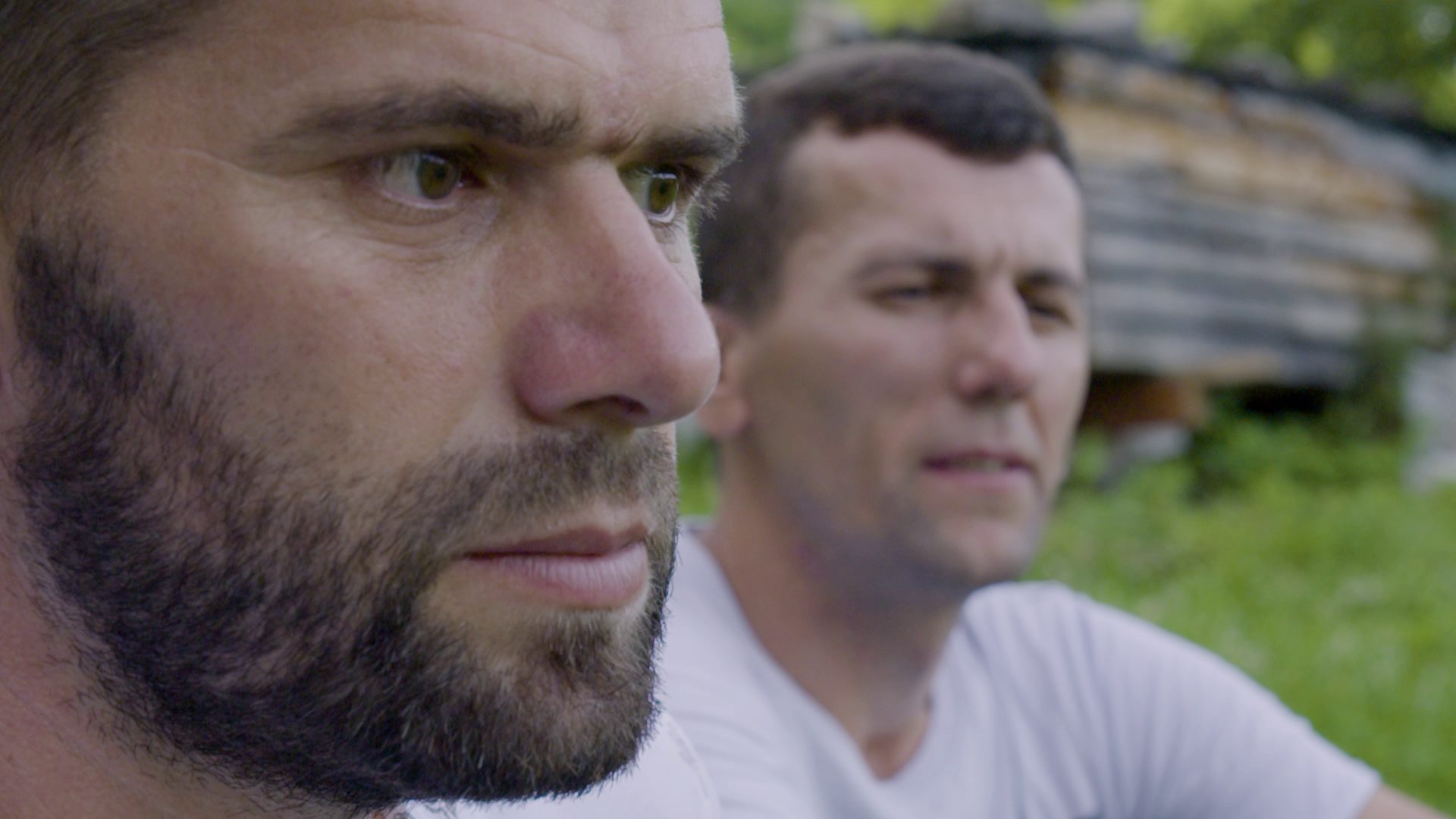 vlcsnap-2023-07-08-13h43m04s620