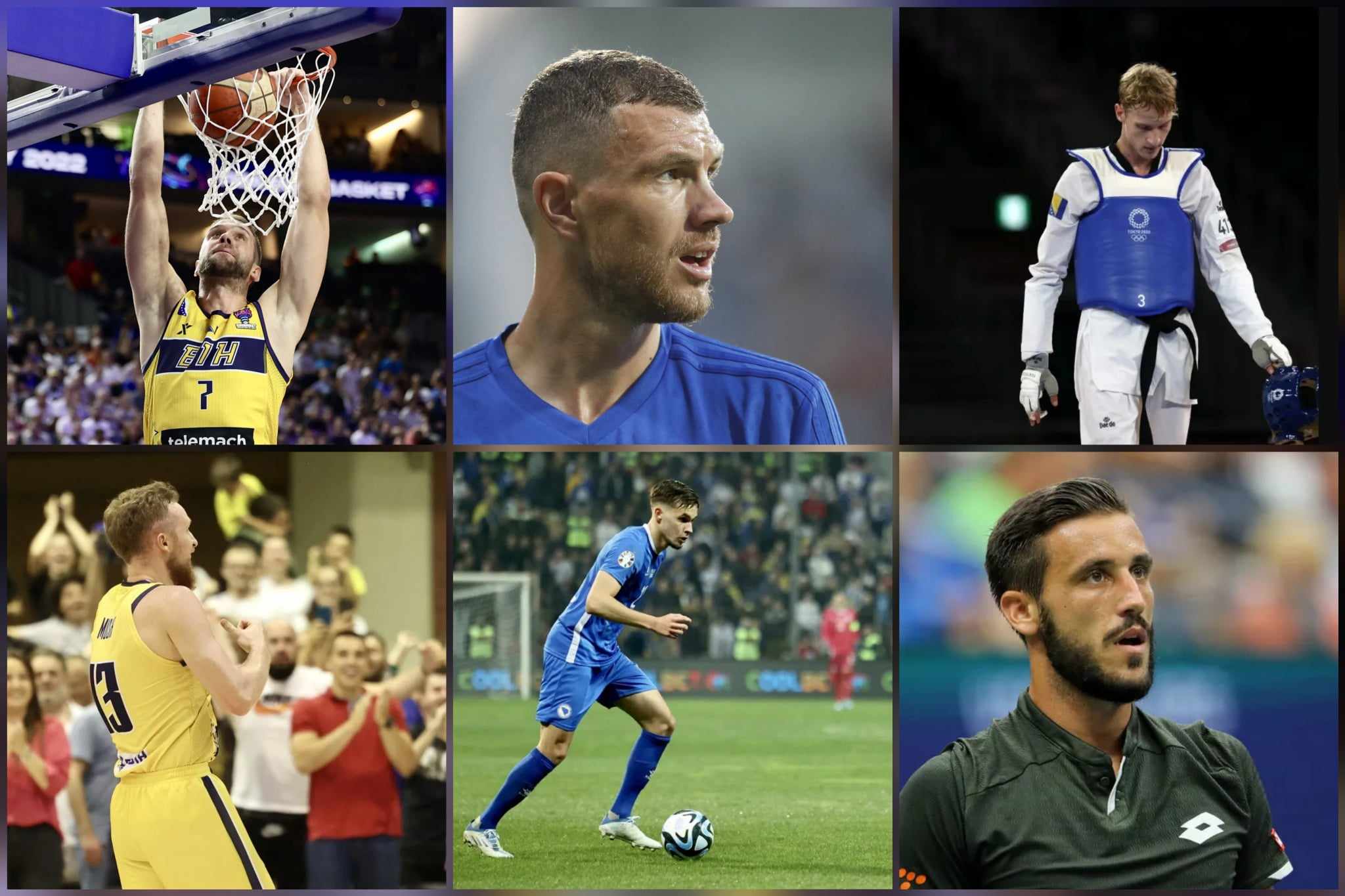 Halilović, Džeko, Husić, Musa, Amar Dedić, Damir Džumhur