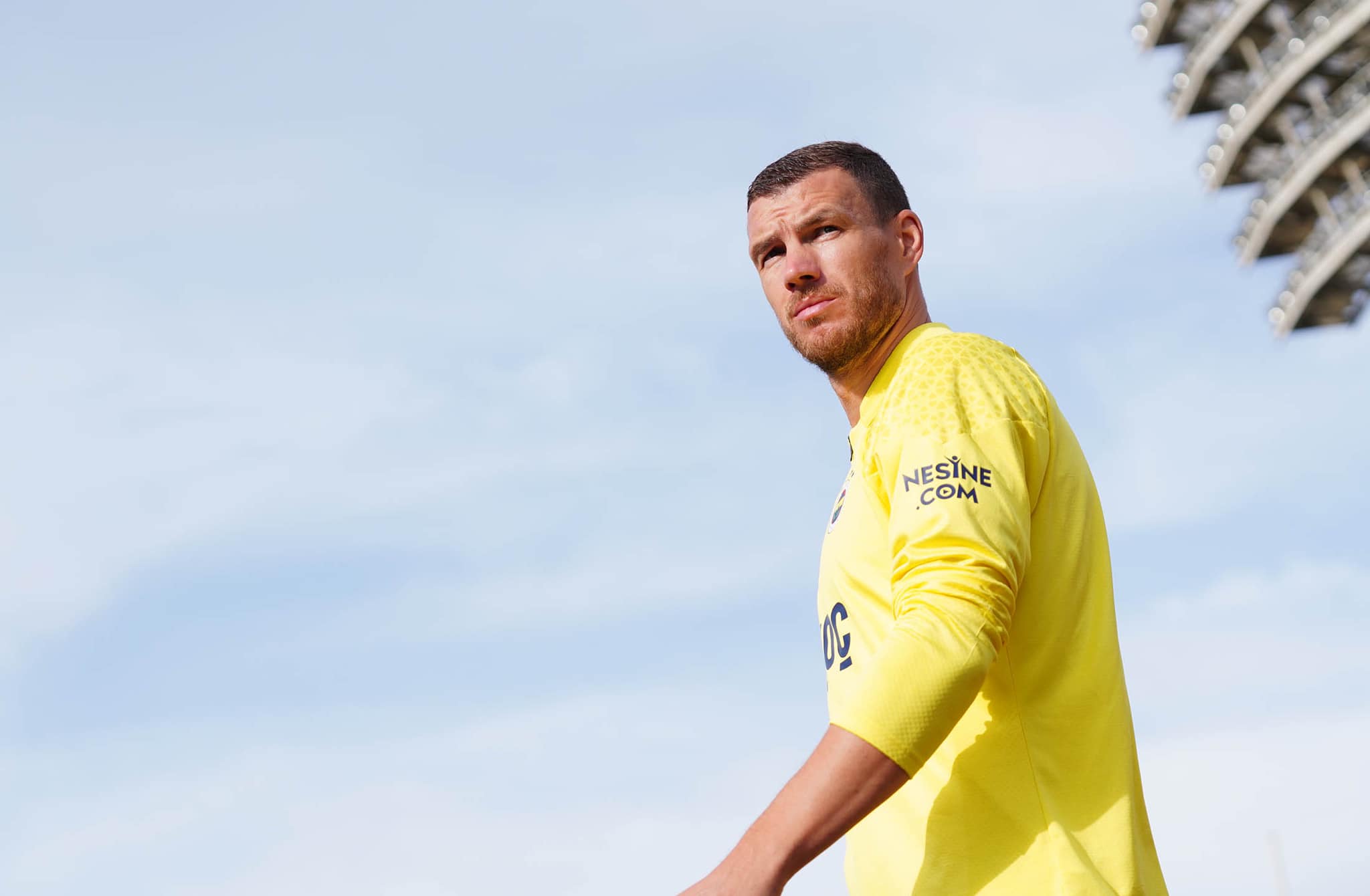 edin dzeko