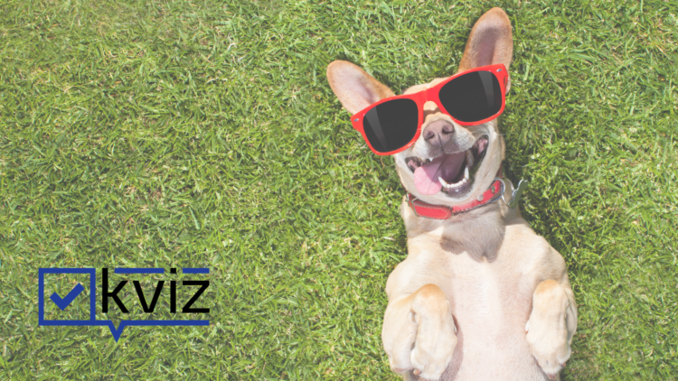 1688731252-Crni-logo-3-750x422