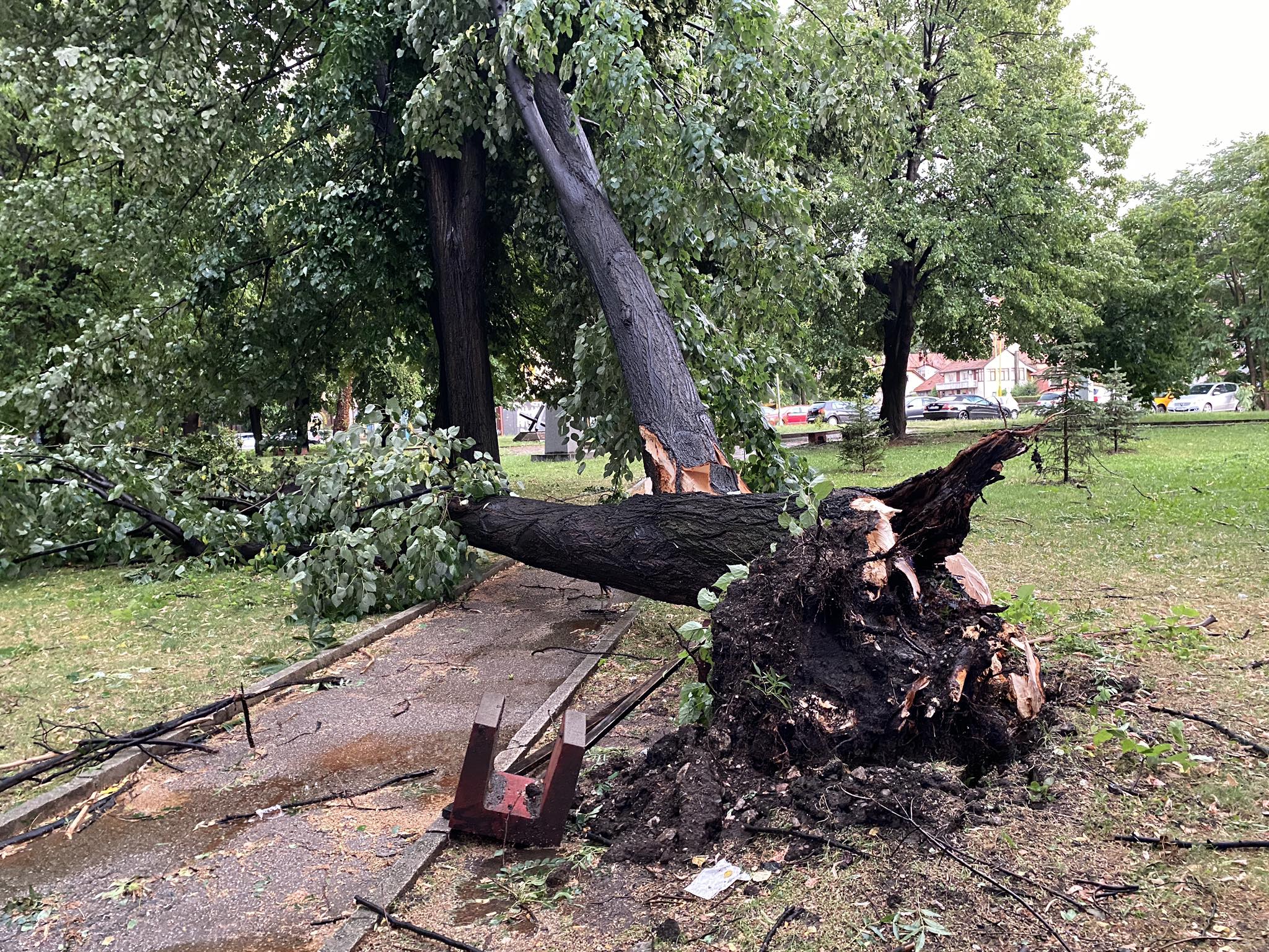 Gradski park Tuzla (N1)