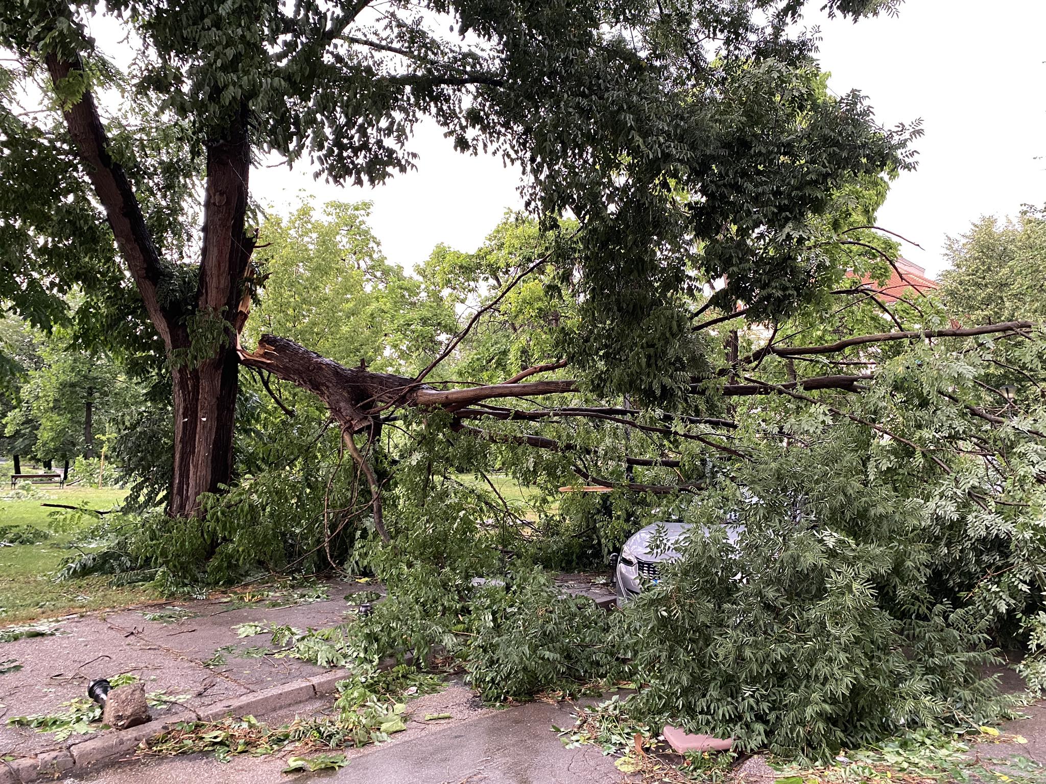 362126489_796501332257139_5334703876188985236_n