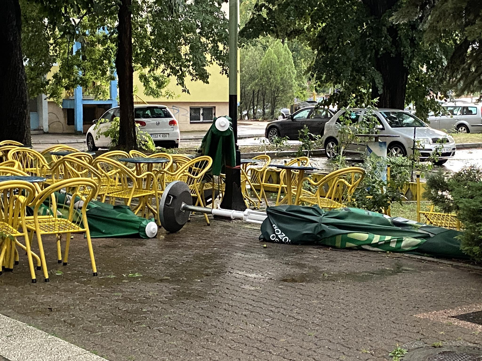 362205552_603994755143945_1021432859816226519_n