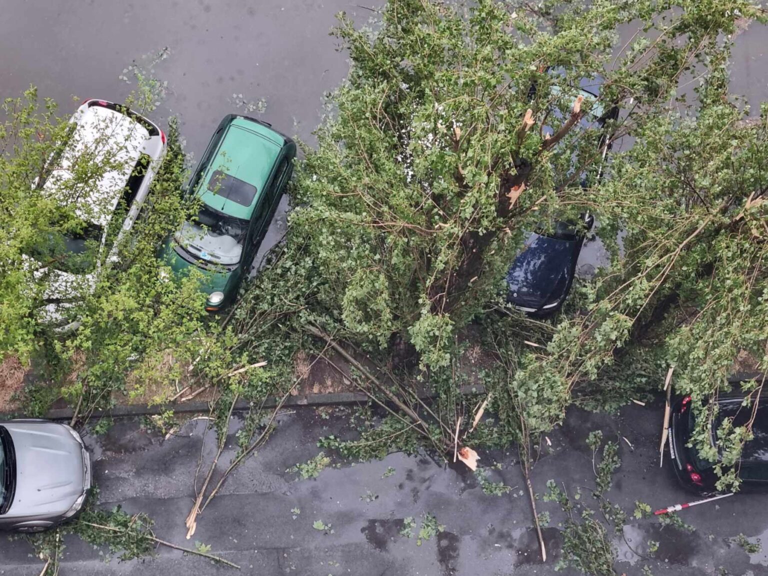 1689782487-362162582_206530192036675_3636920419470301178_n-1536x1152