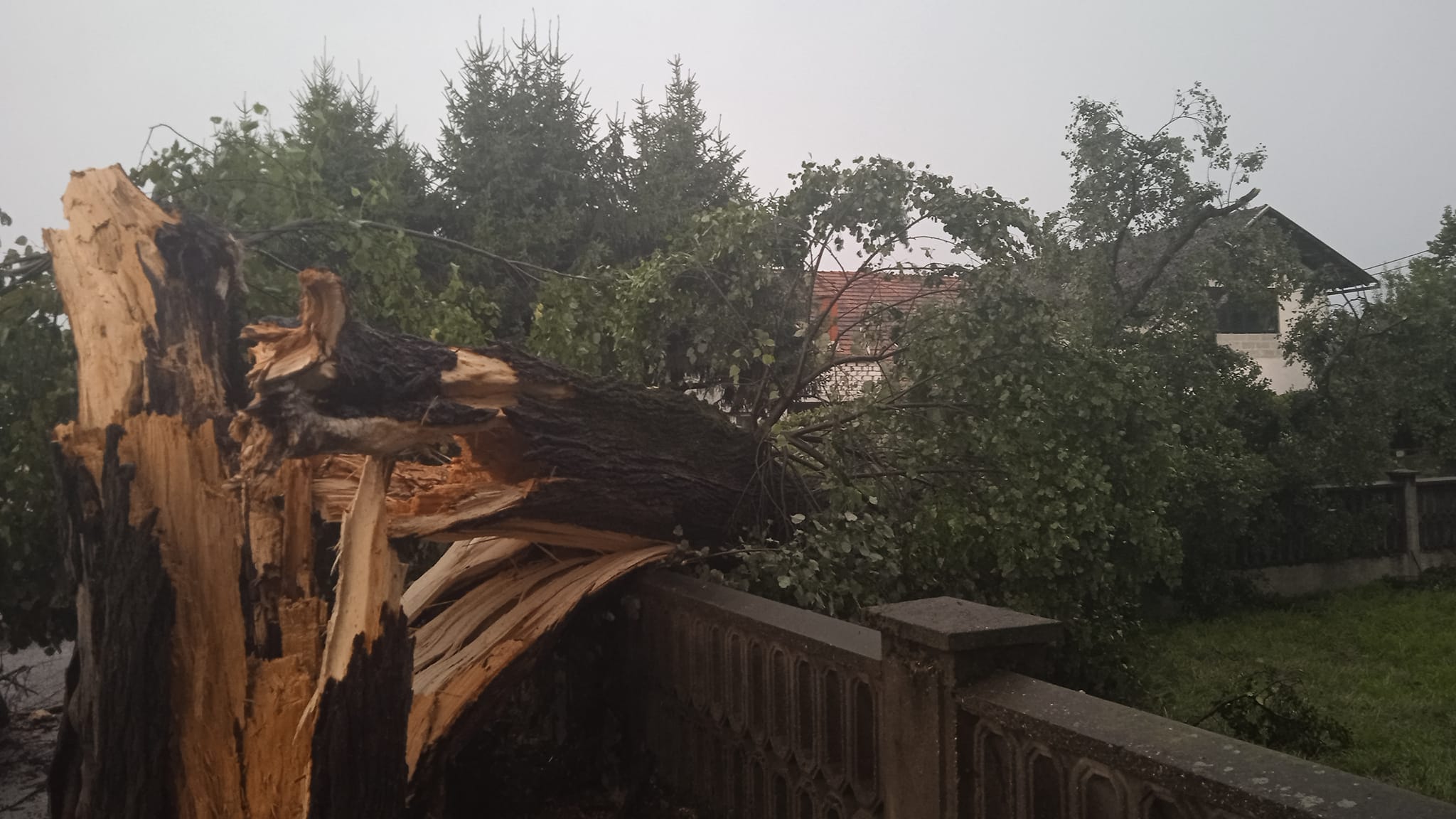 362223939_760062245917668_4690185106207891630_n