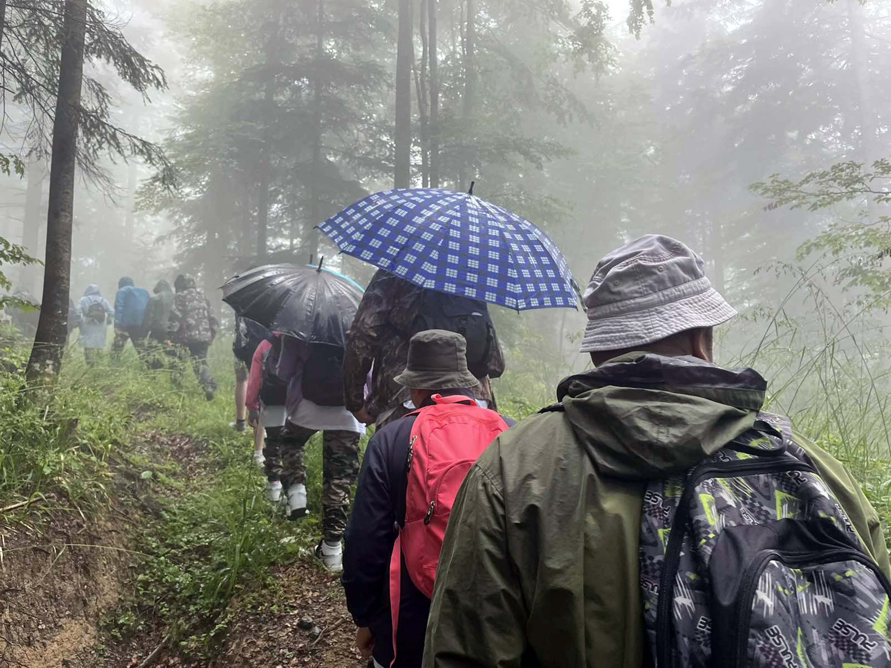 Kolona Hda slobode u šumi