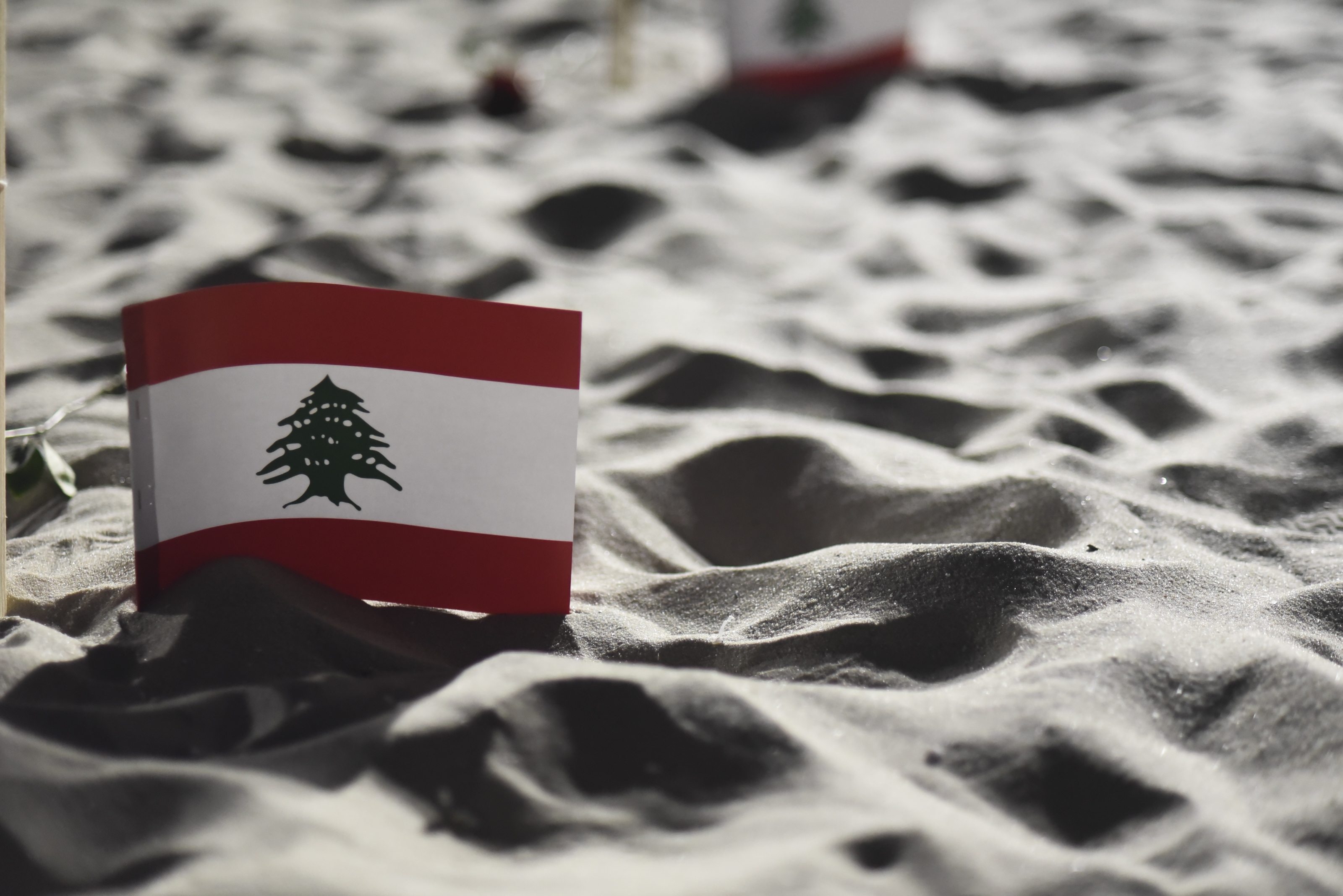 Brazil odao počast žrtvama eksplozije u luci u Bejrutu