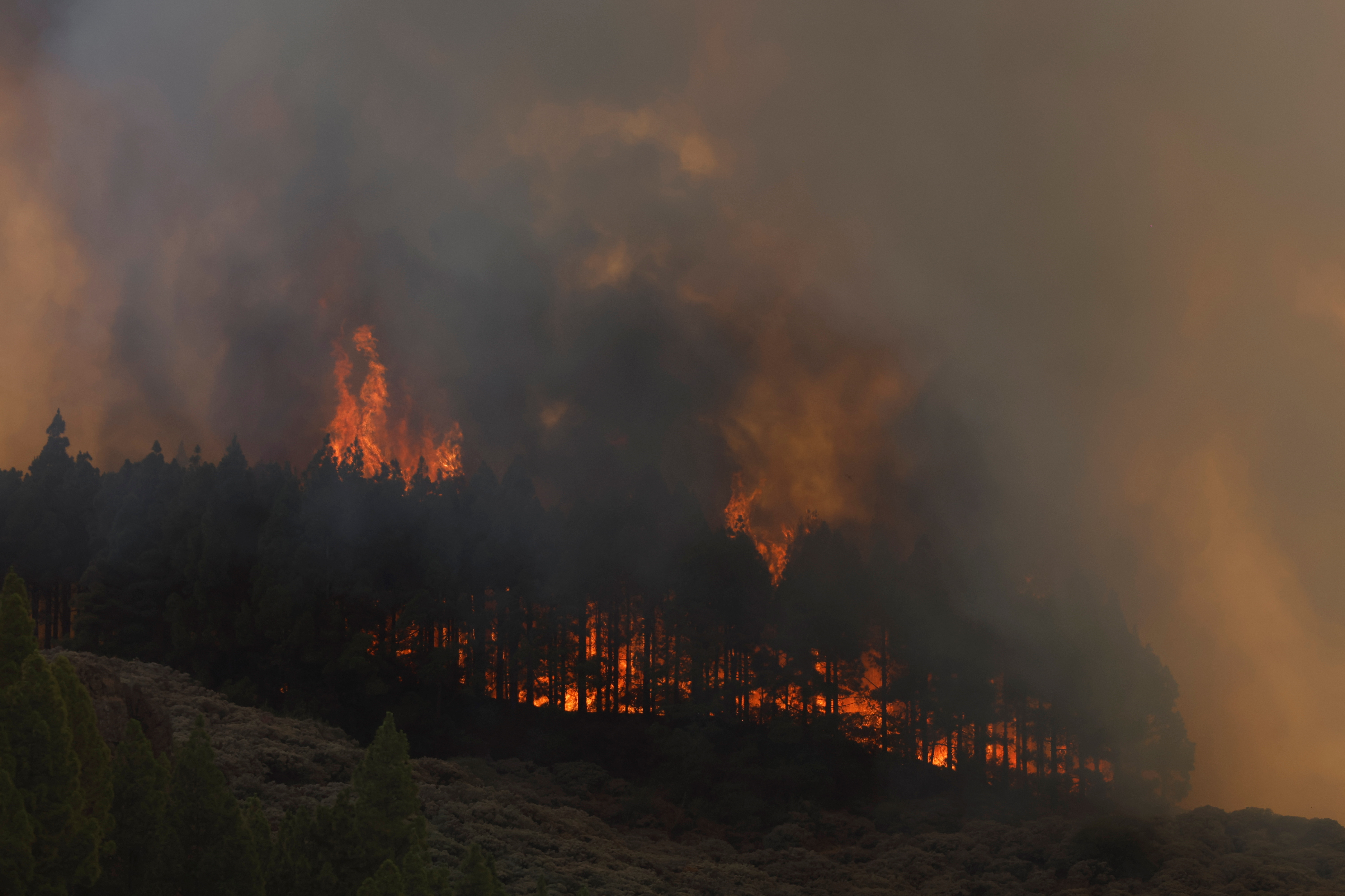 Wildfire burns on the Canary Island of Gran Canaria