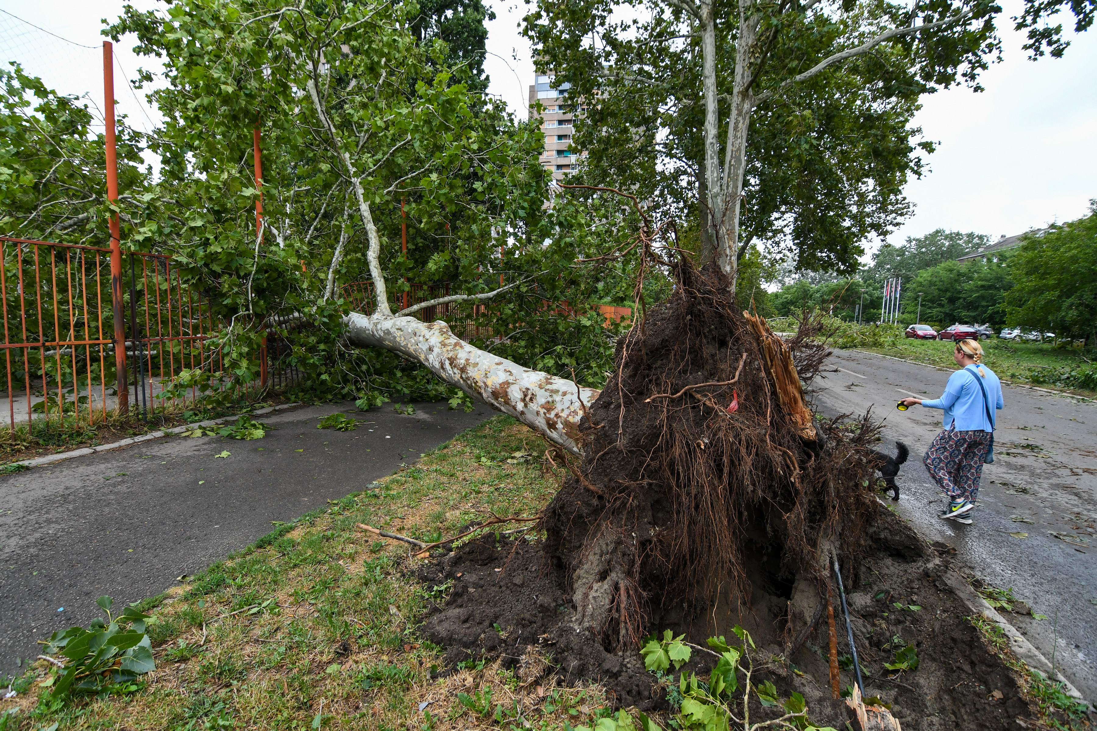 POSLEDICE NEVREMENA U NOVOM SADU