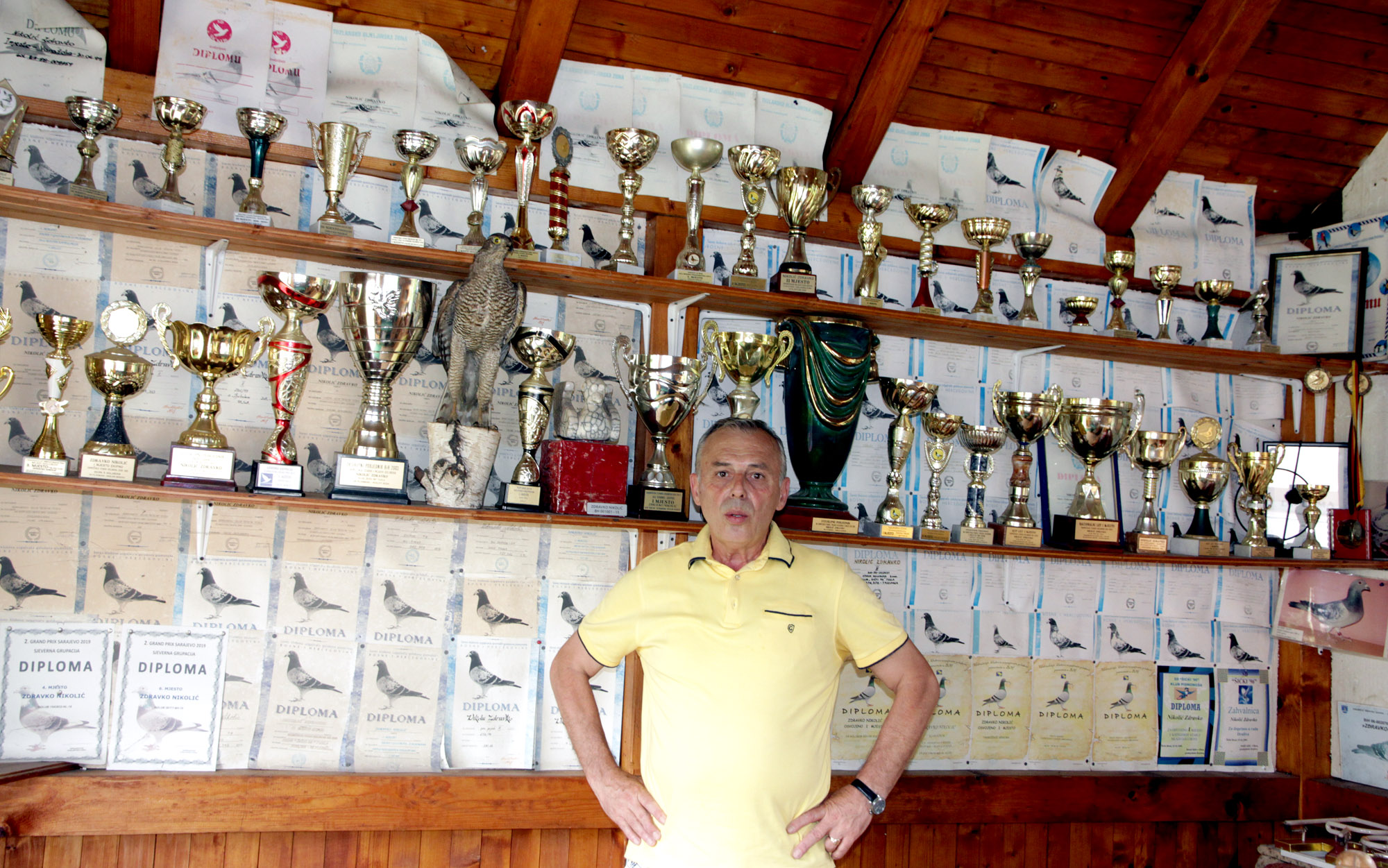 Maratonska trka: Golubica Zdravka Nikolića od Pariza do Tuzle doletjela za 25 sati