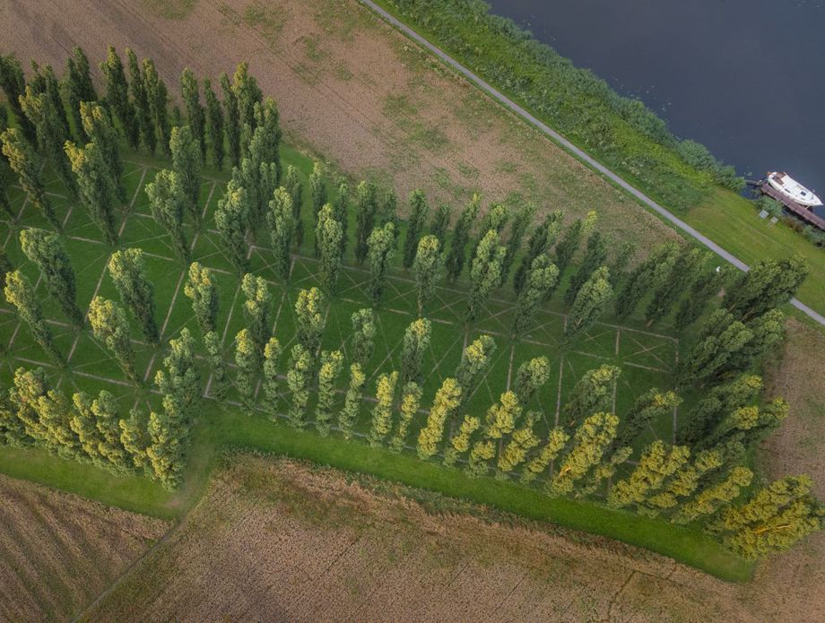 62603375-zelena-katedrala