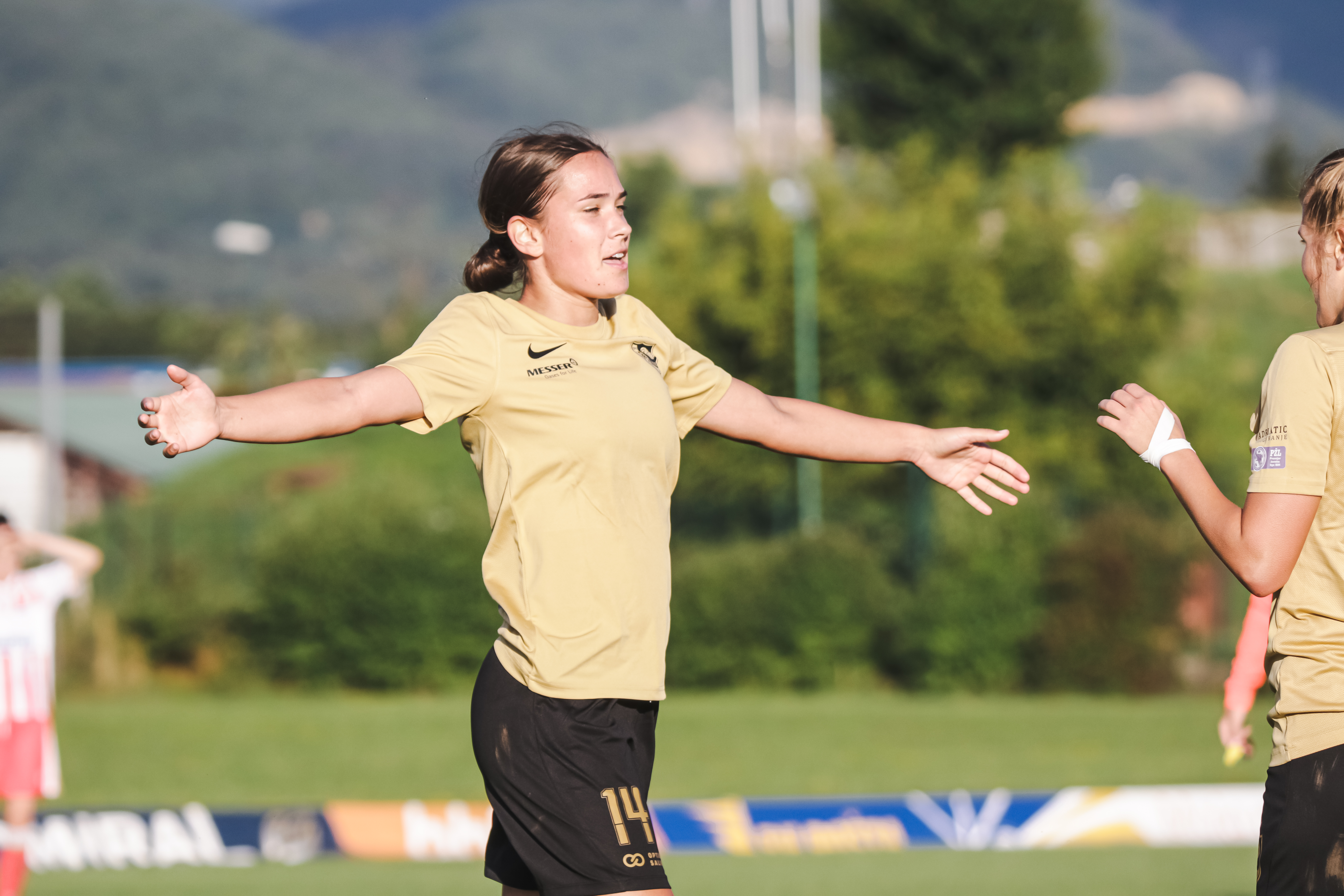 SFK 2000 Sarajevo  - Crvena zvezda