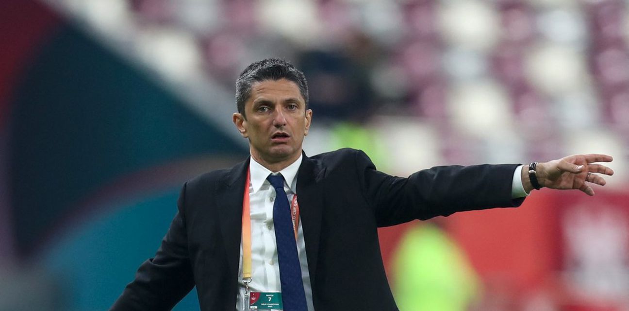 62606953-razvan-lucescu