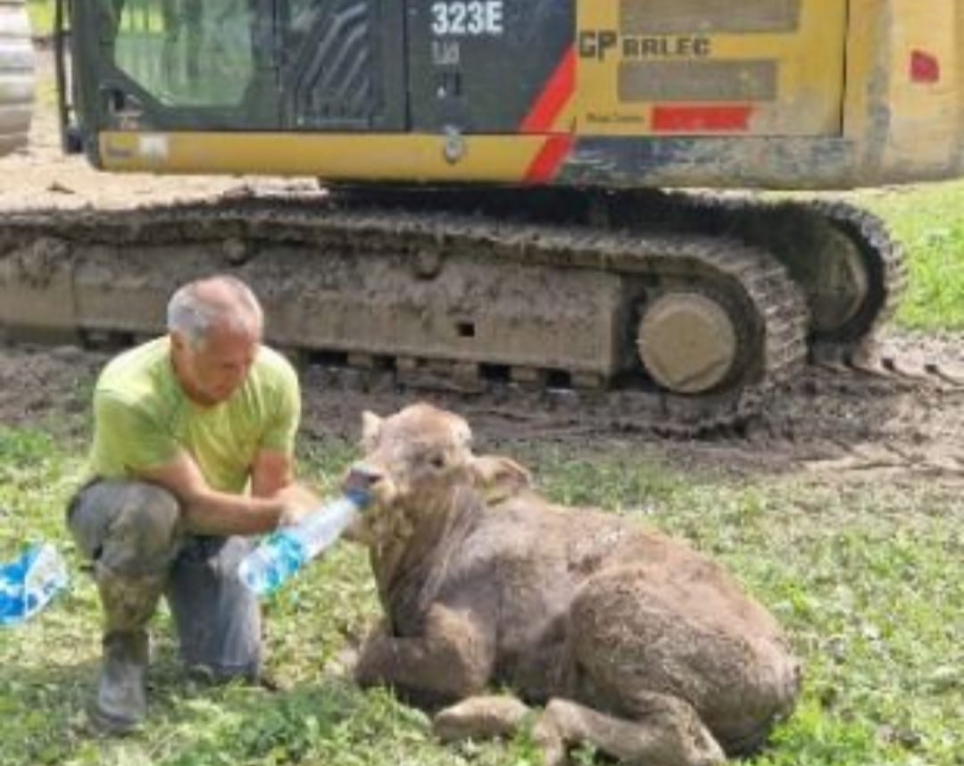 1691673219-tele-gomzi-slovenija