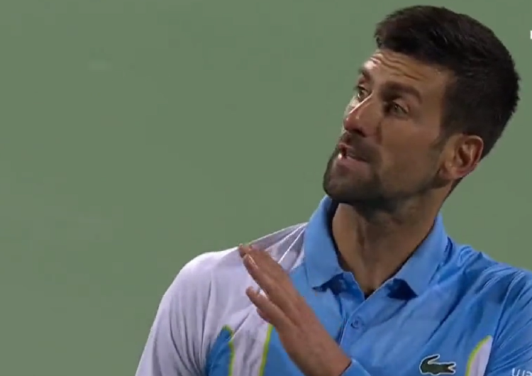 djokovic novak