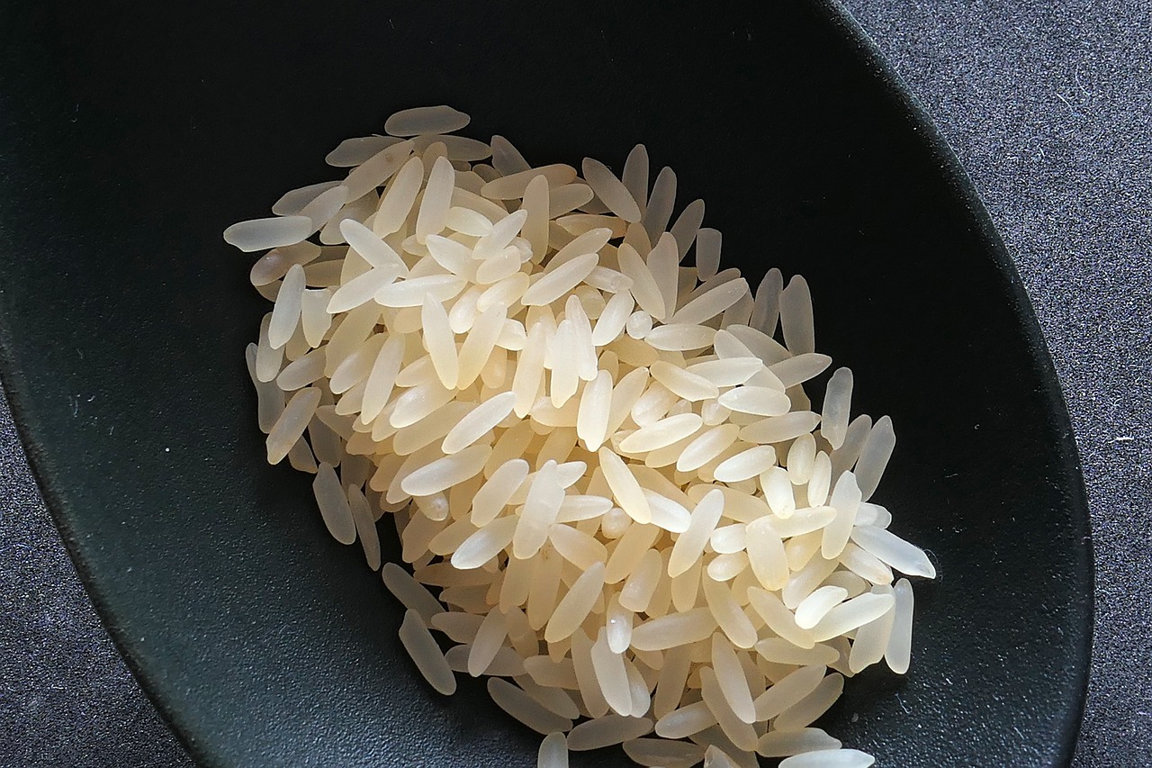 rice-2294365_1280