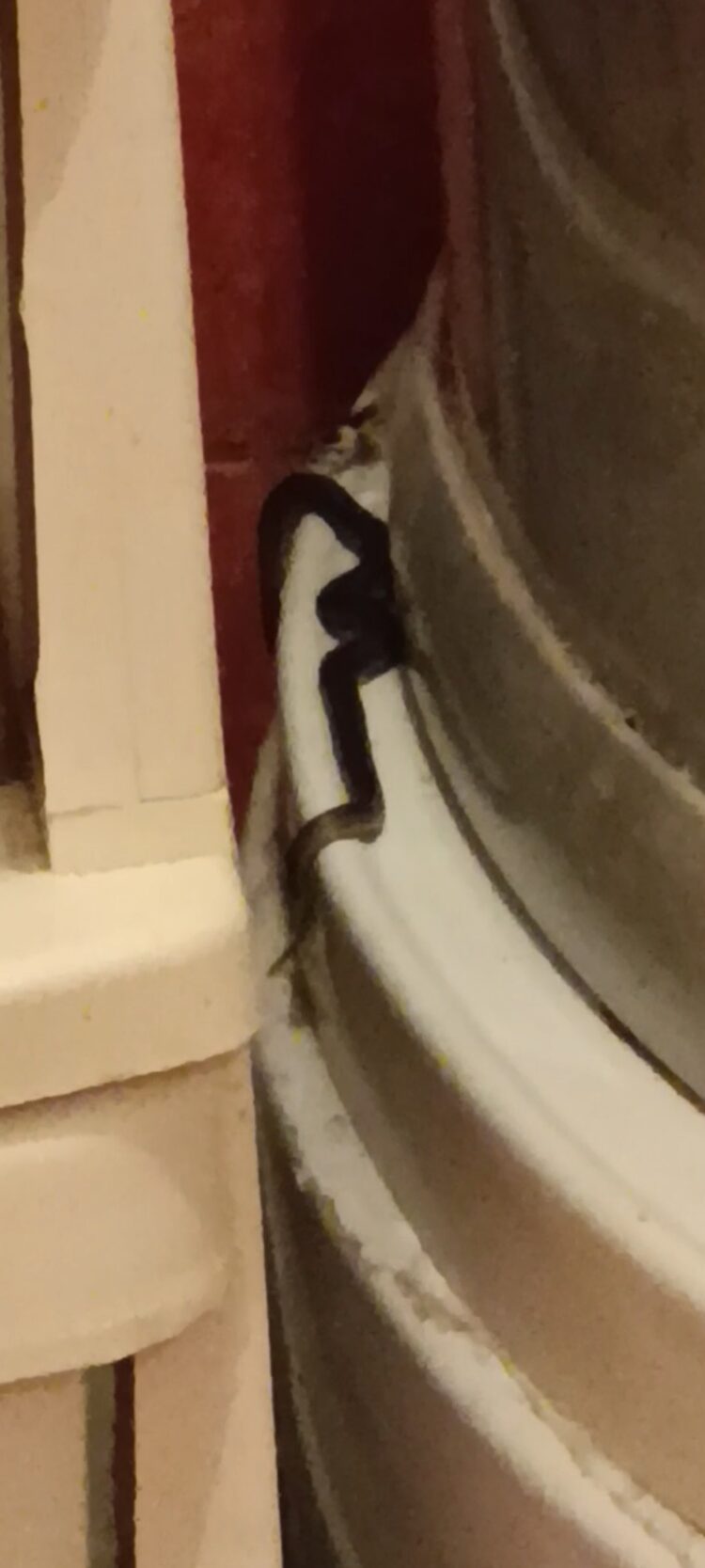 1693433803-Screenshot_20230830_164126_Gallery-750x1667