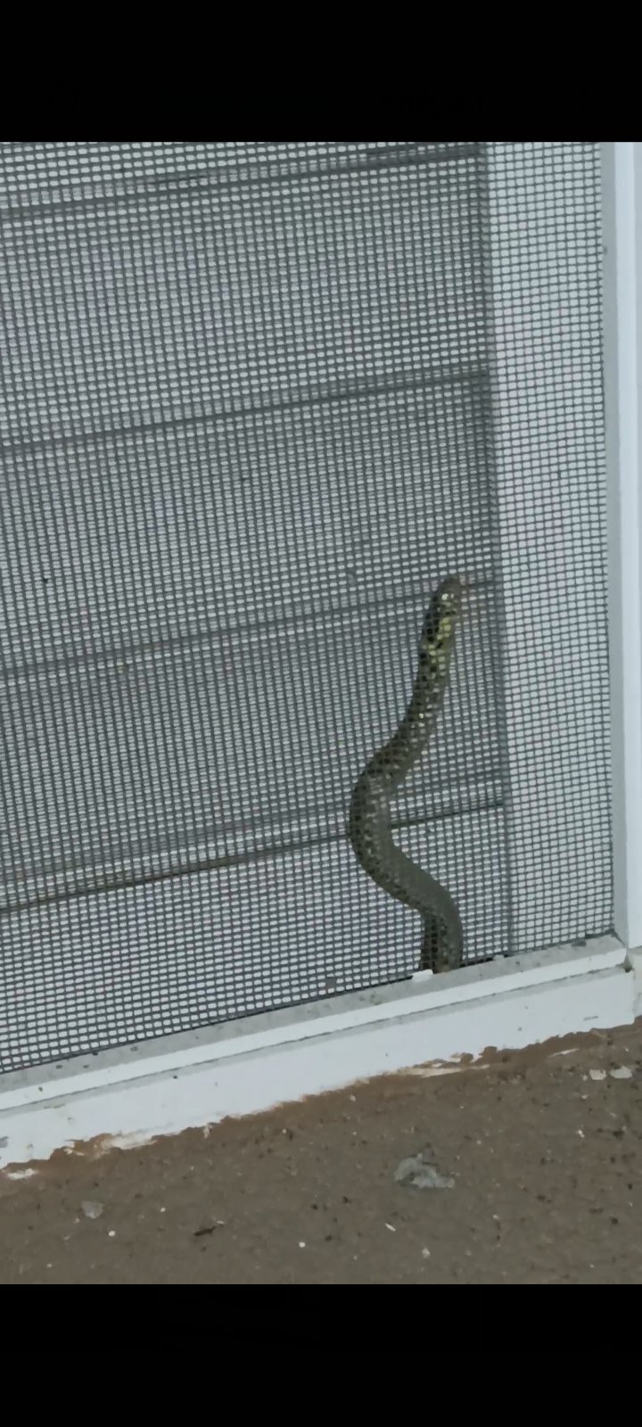 1693433799-IMG-e0d38f0901a4649d1954e5dc222bc1d3-V