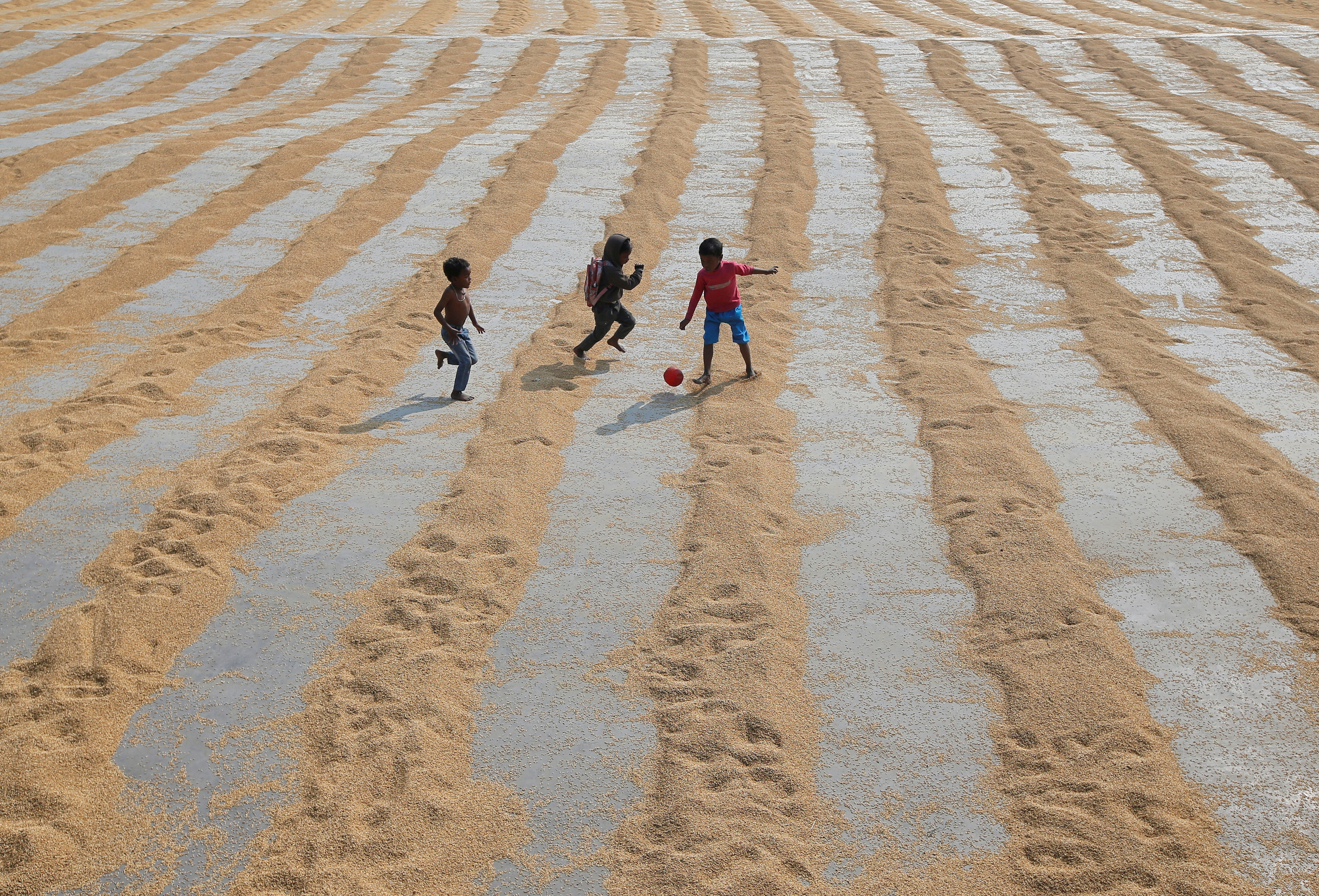 FILE PHOTO: Children play with a ball after rice is spread for drying at a rice mill on the outskirts of Kolkata