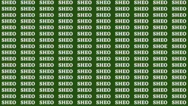 1693821408-103174136