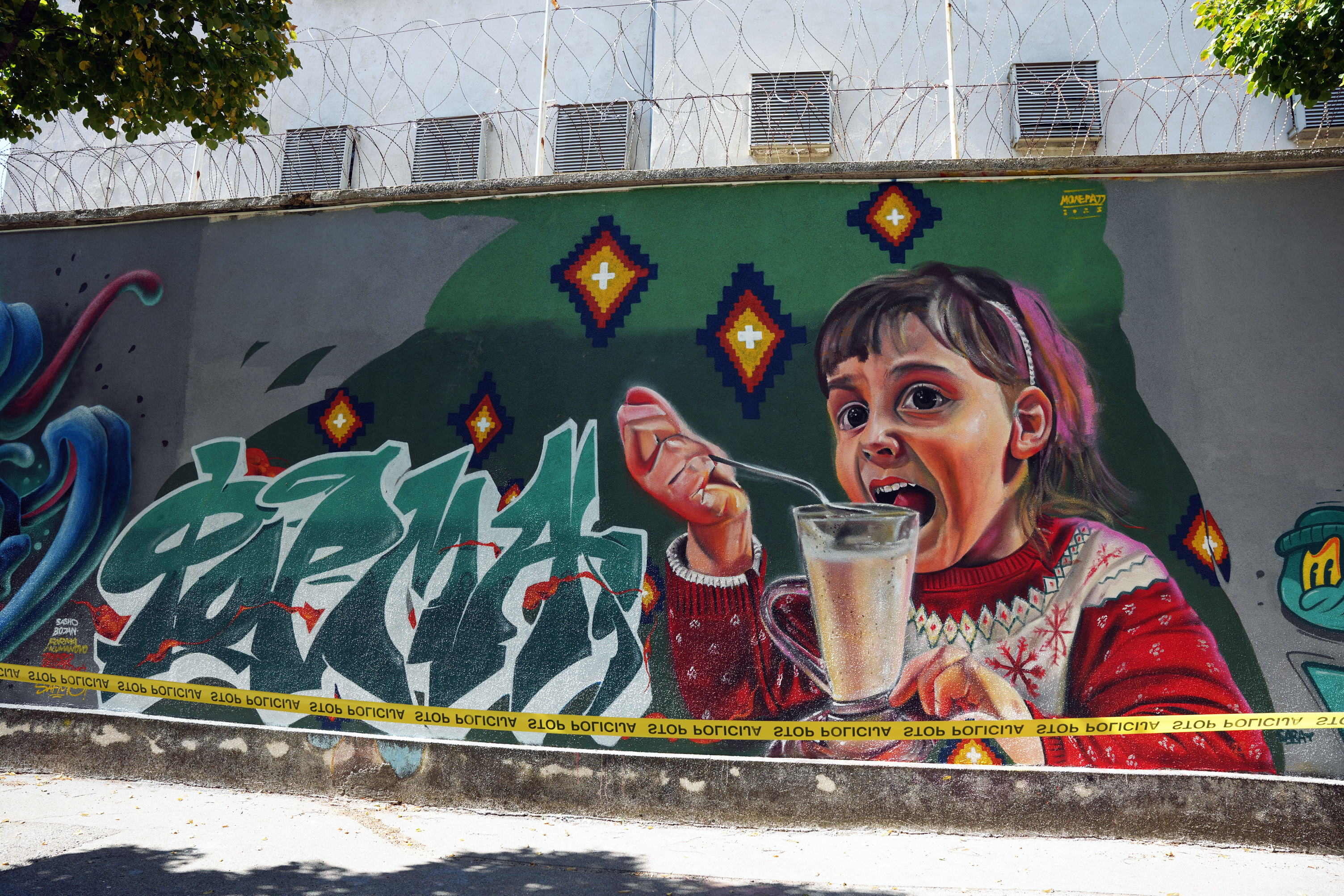 Mostarske fasade u novom ruhu: Street arts festival donio nove murale