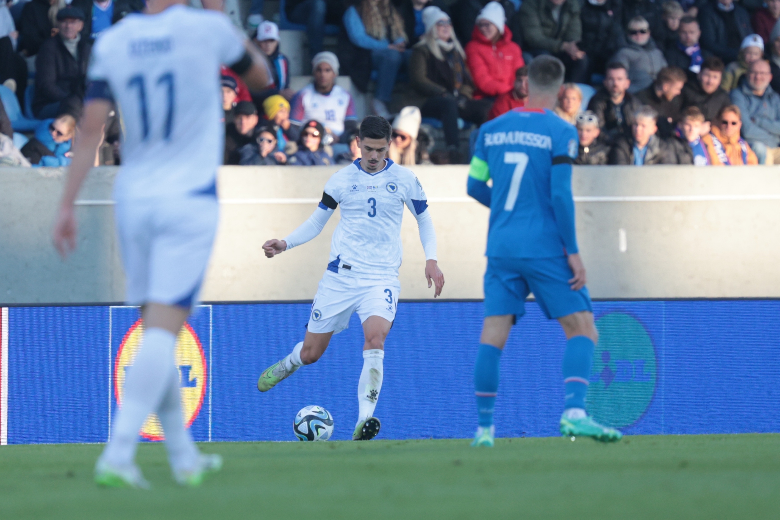 Nogometni savez Bosne i Hercegovine