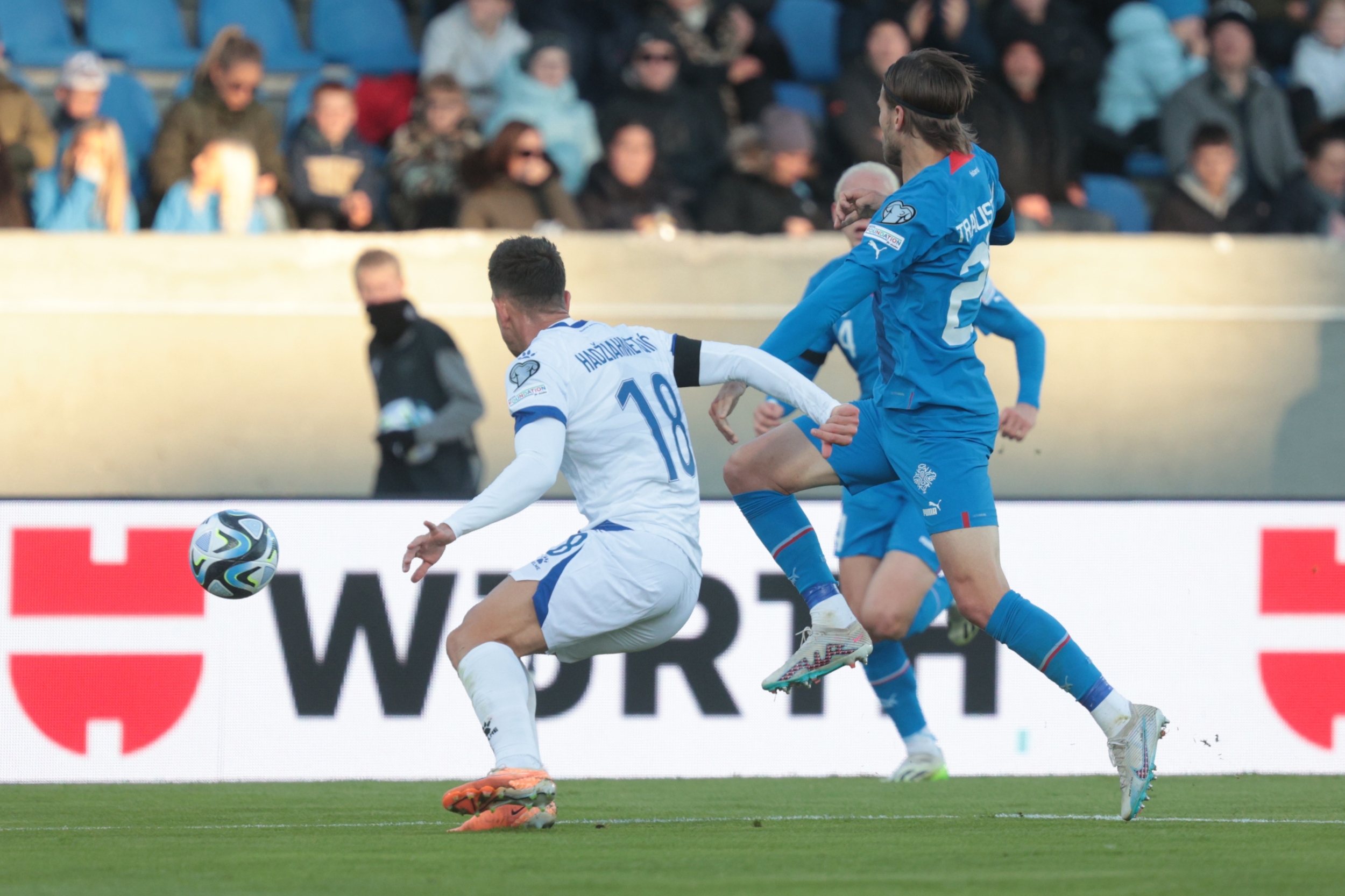 Nogometni savez Bosne i Hercegovine