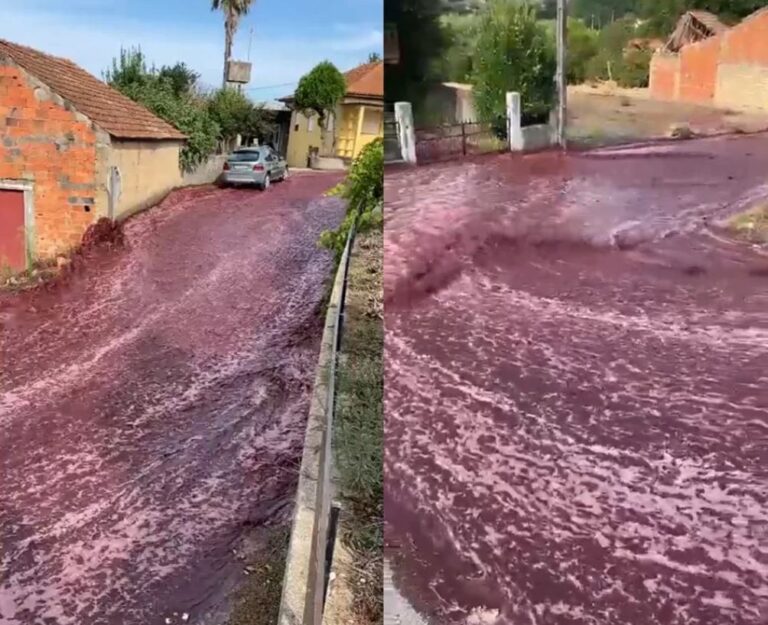 1694461307-vino-portugal-768x625