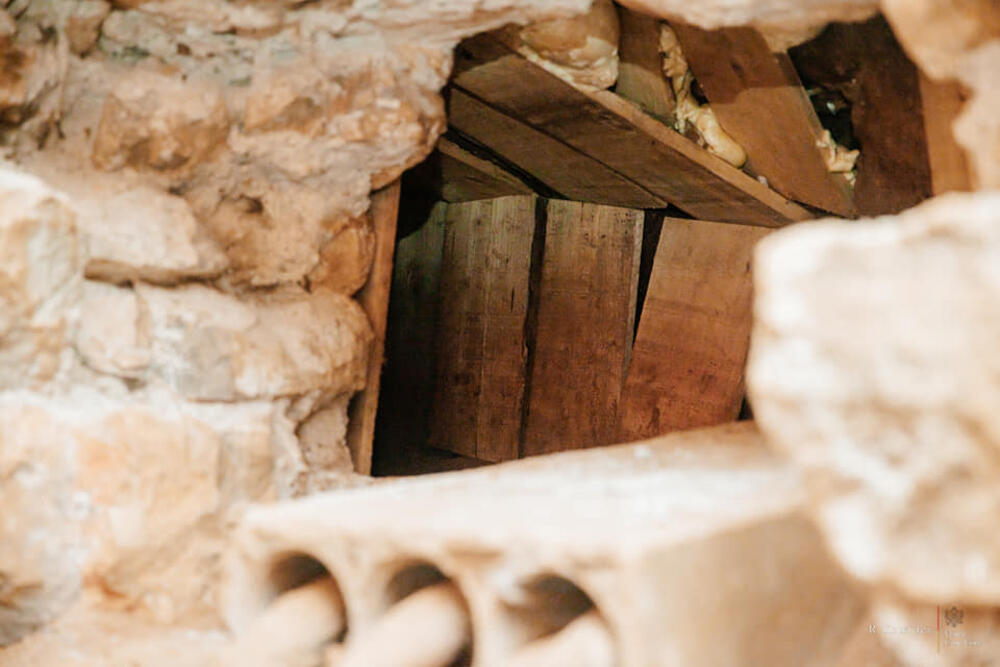 5516293_374520839-884023156412539-1292306396026091201-n_ff