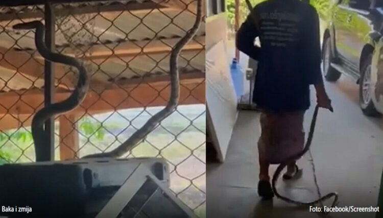 1694765618-1694763305-baka-750x427