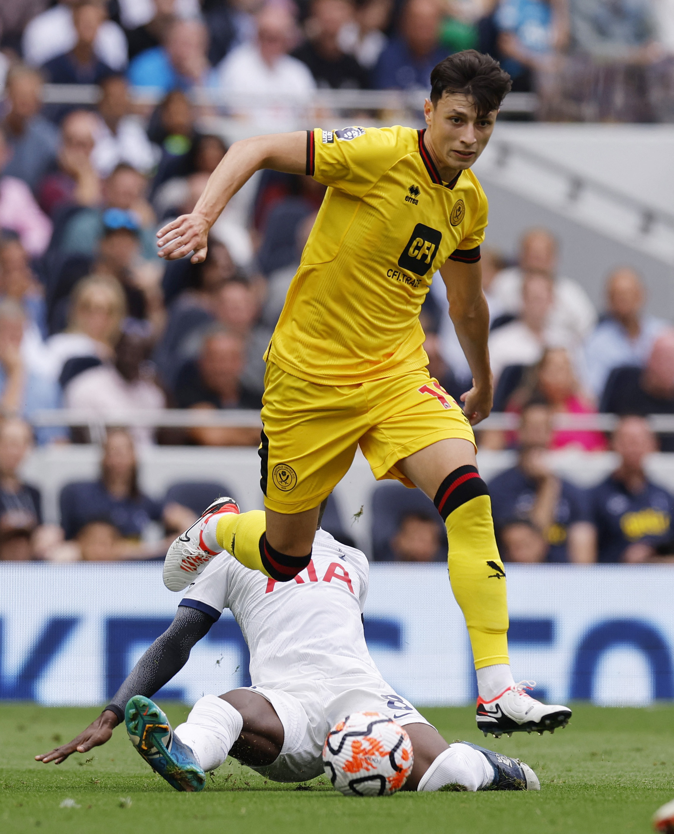 Premier League - Tottenham Hotspur v Sheffield United